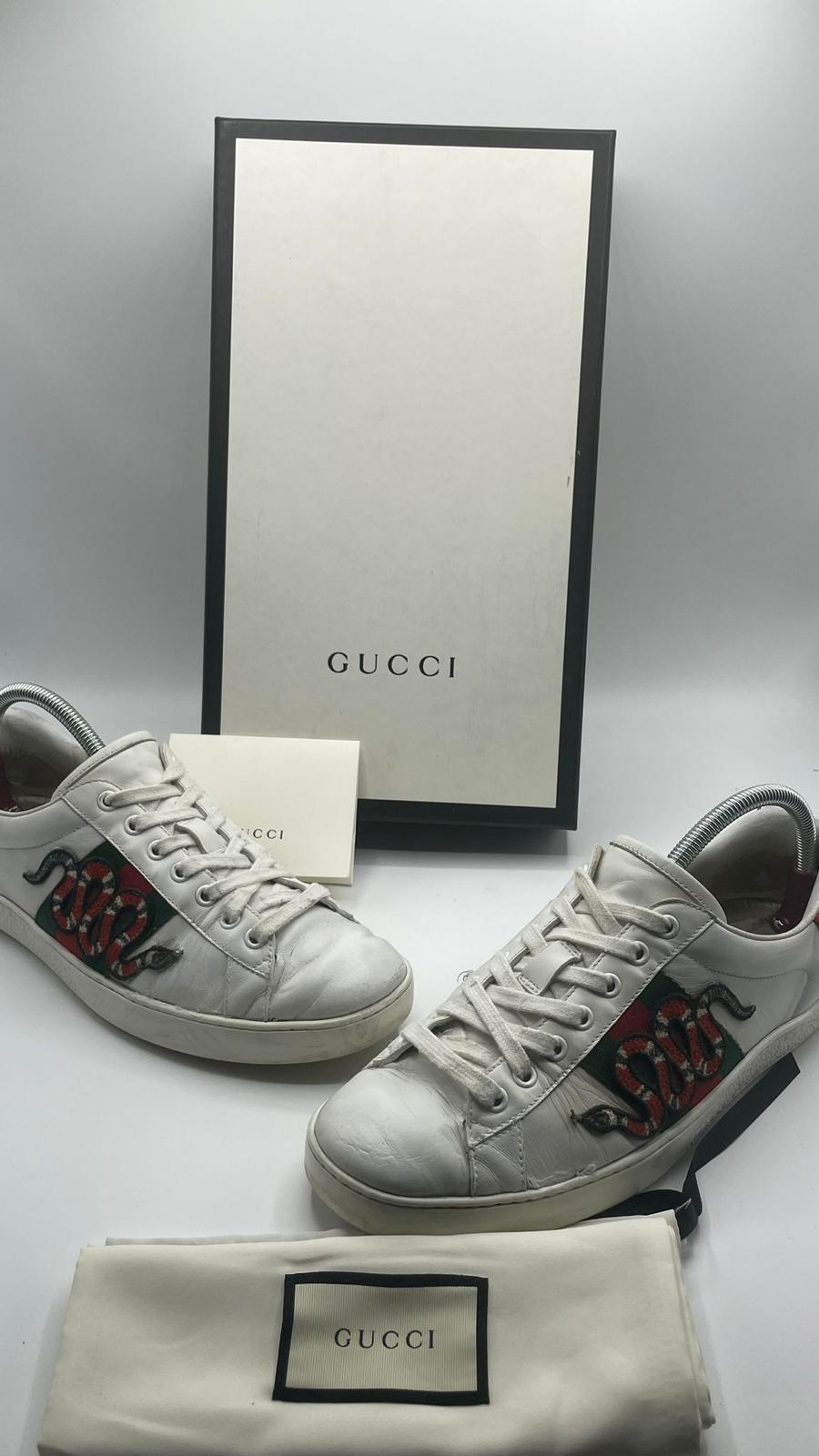 Gucci Ace Snake