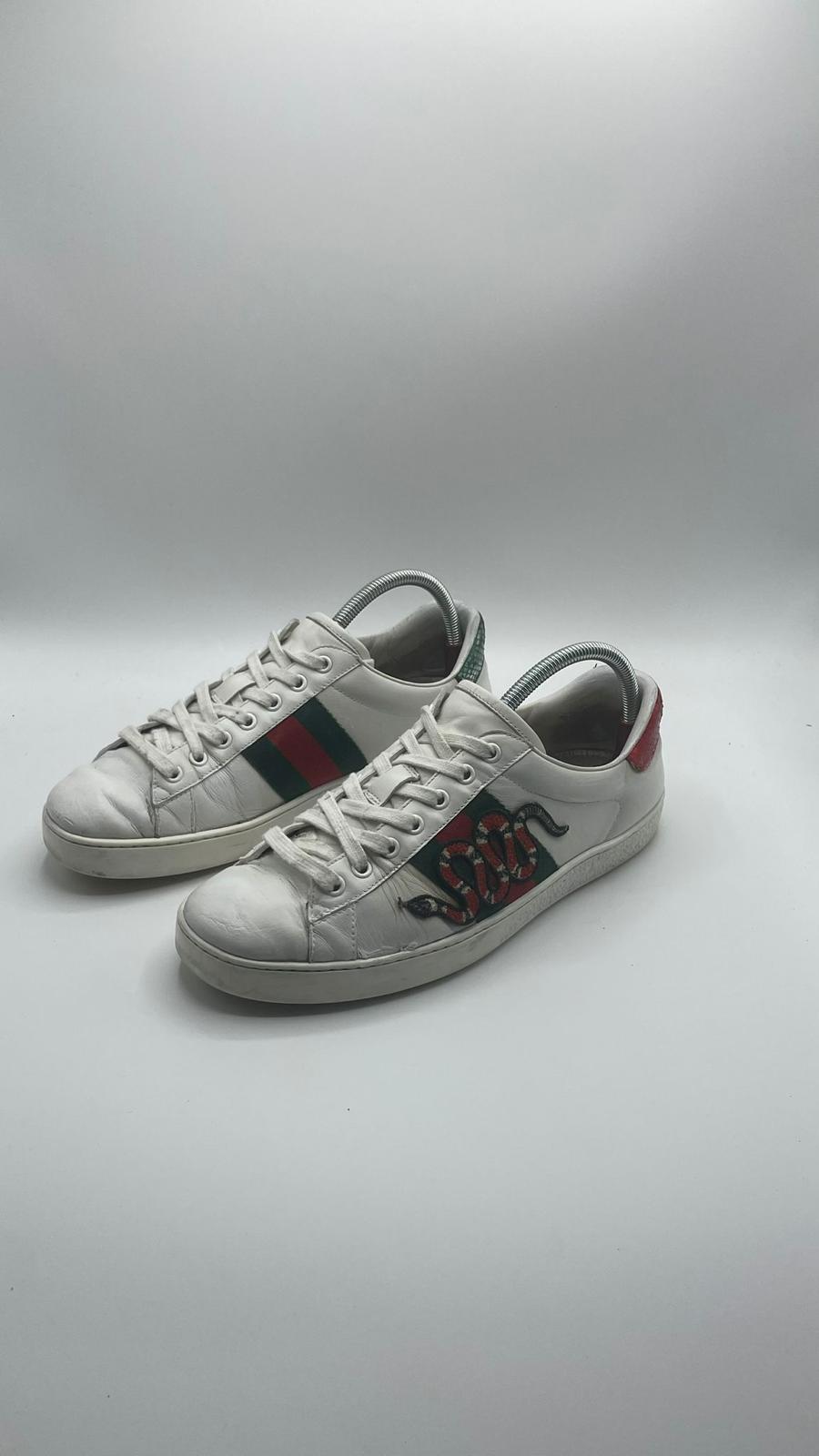 Gucci Ace Snake