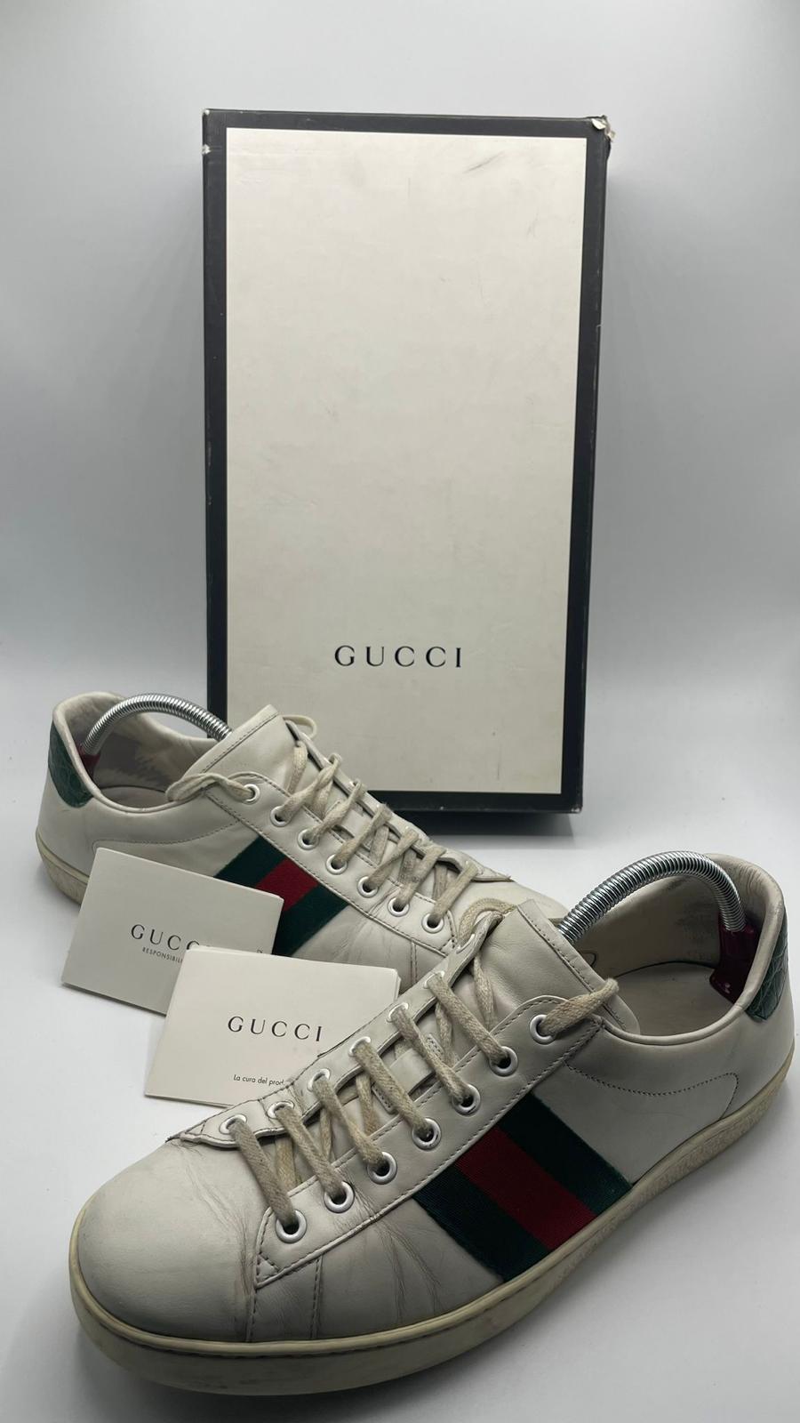 Gucci Ace