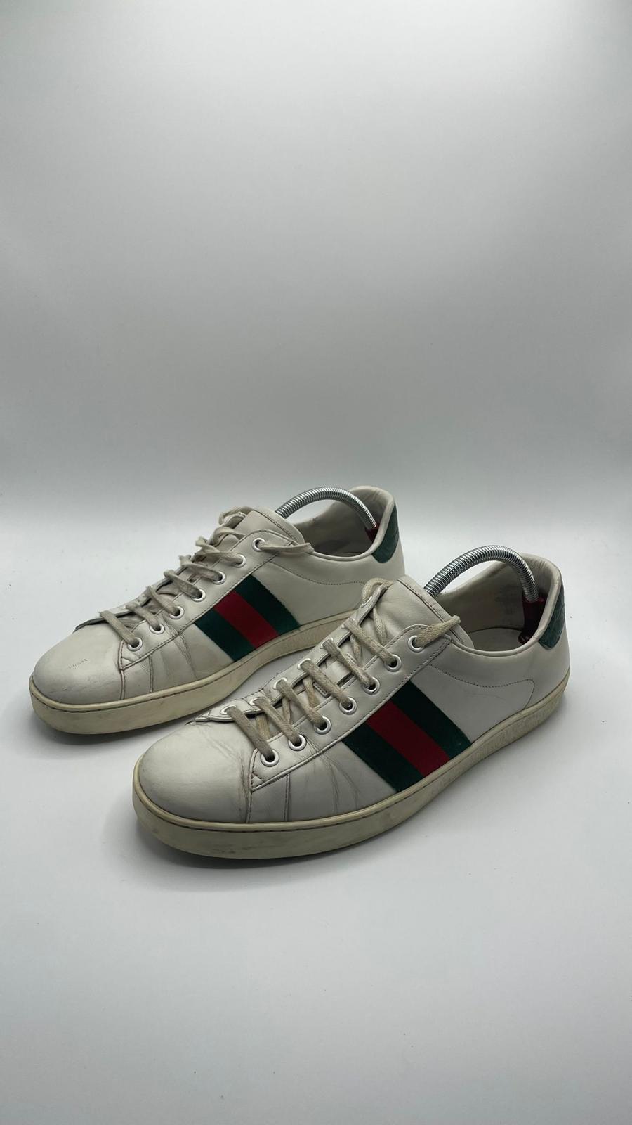 Gucci Ace