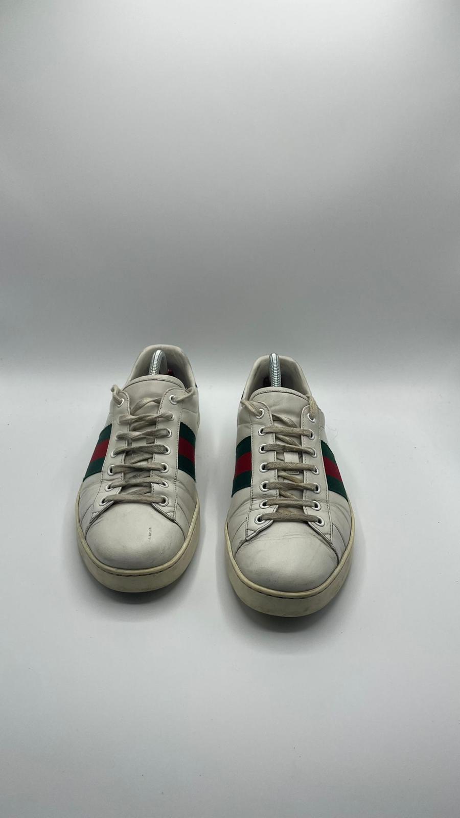 Gucci Ace