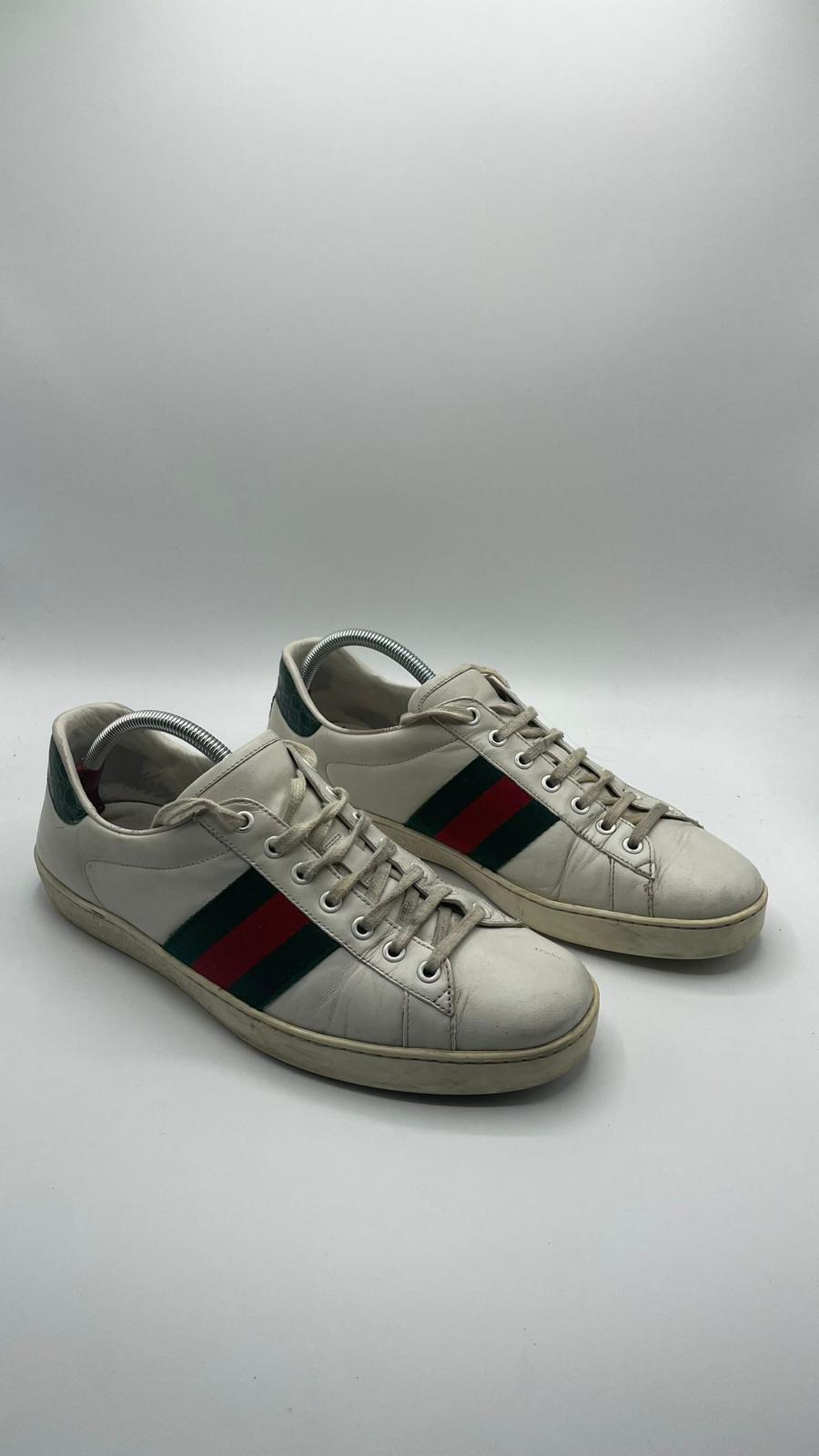 Gucci Ace