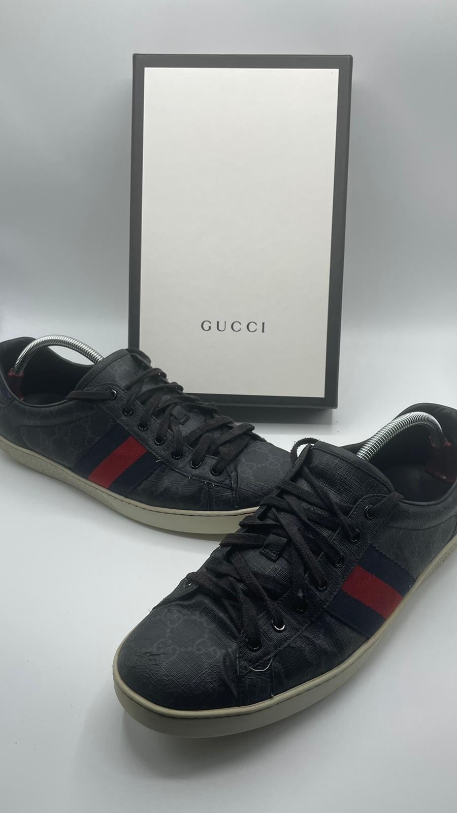 Gucci Ace