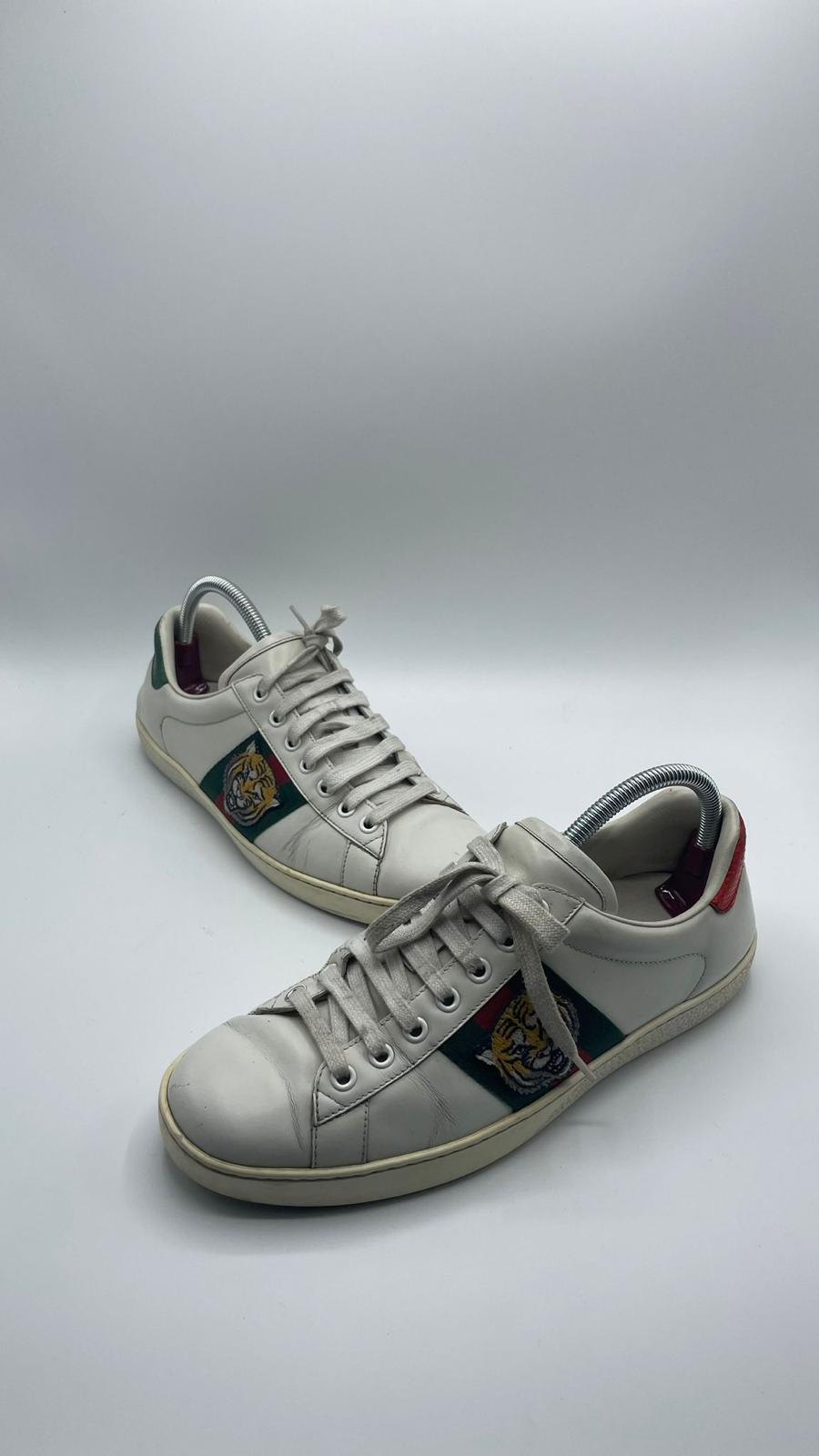 Gucci Ace Tiger