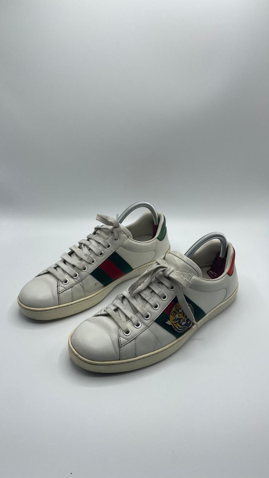 Gucci Ace Tiger