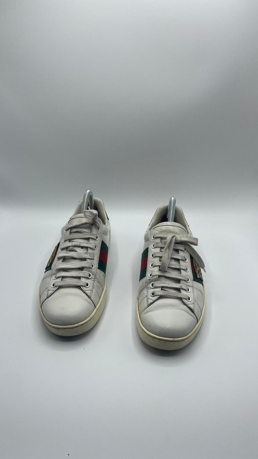 Gucci Ace Tiger