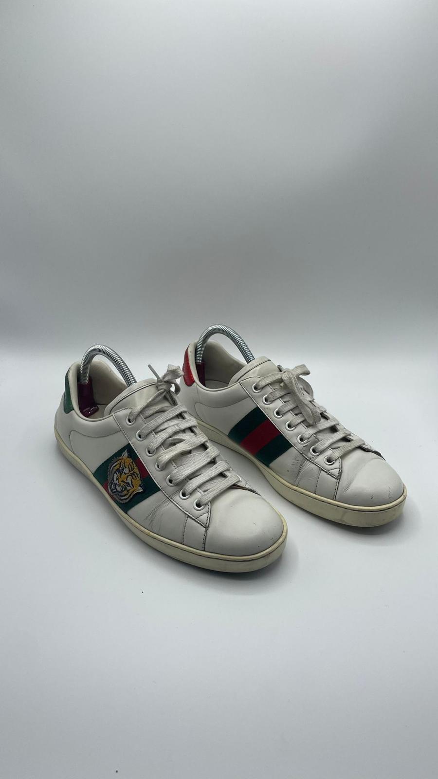 Gucci Ace Tiger