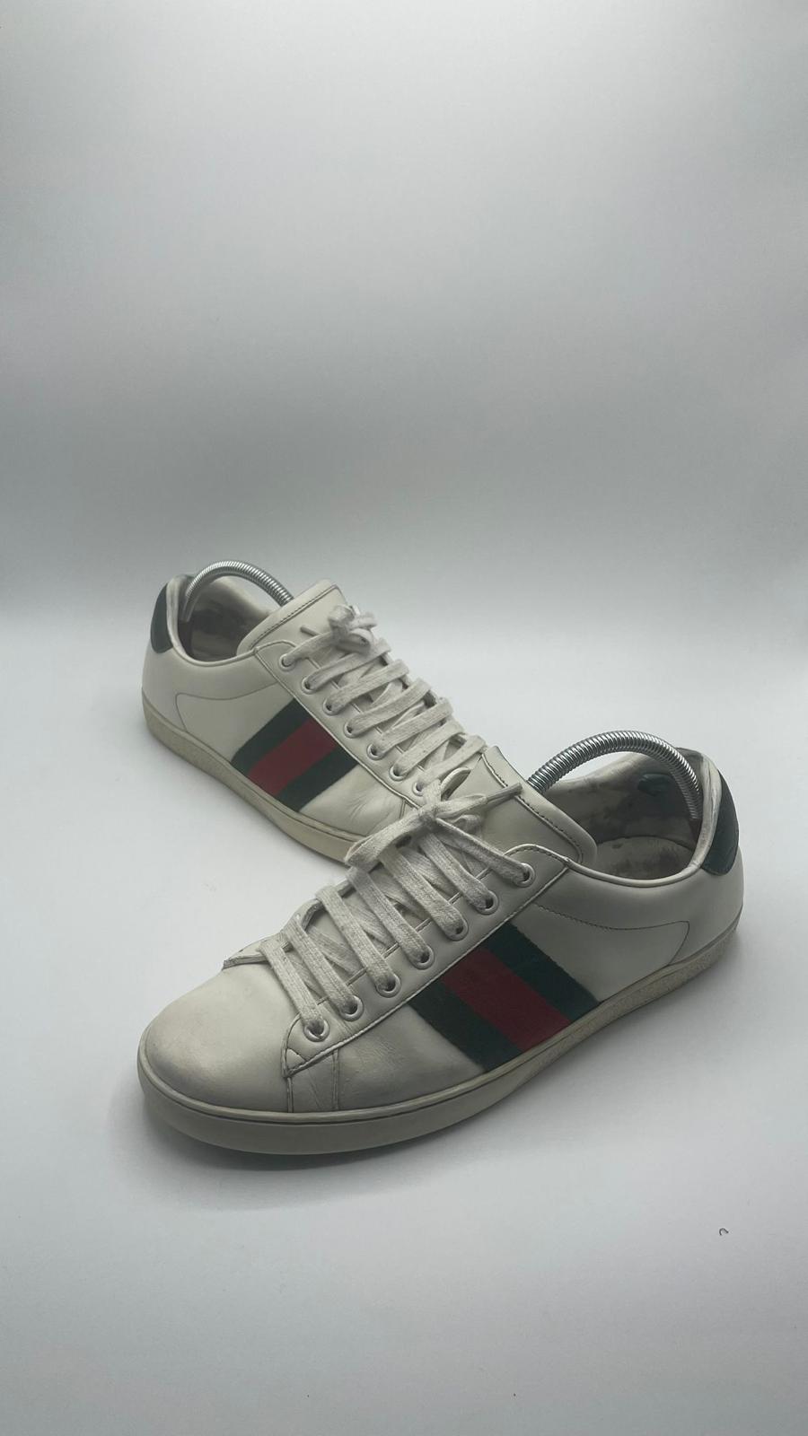 Gucci Ace