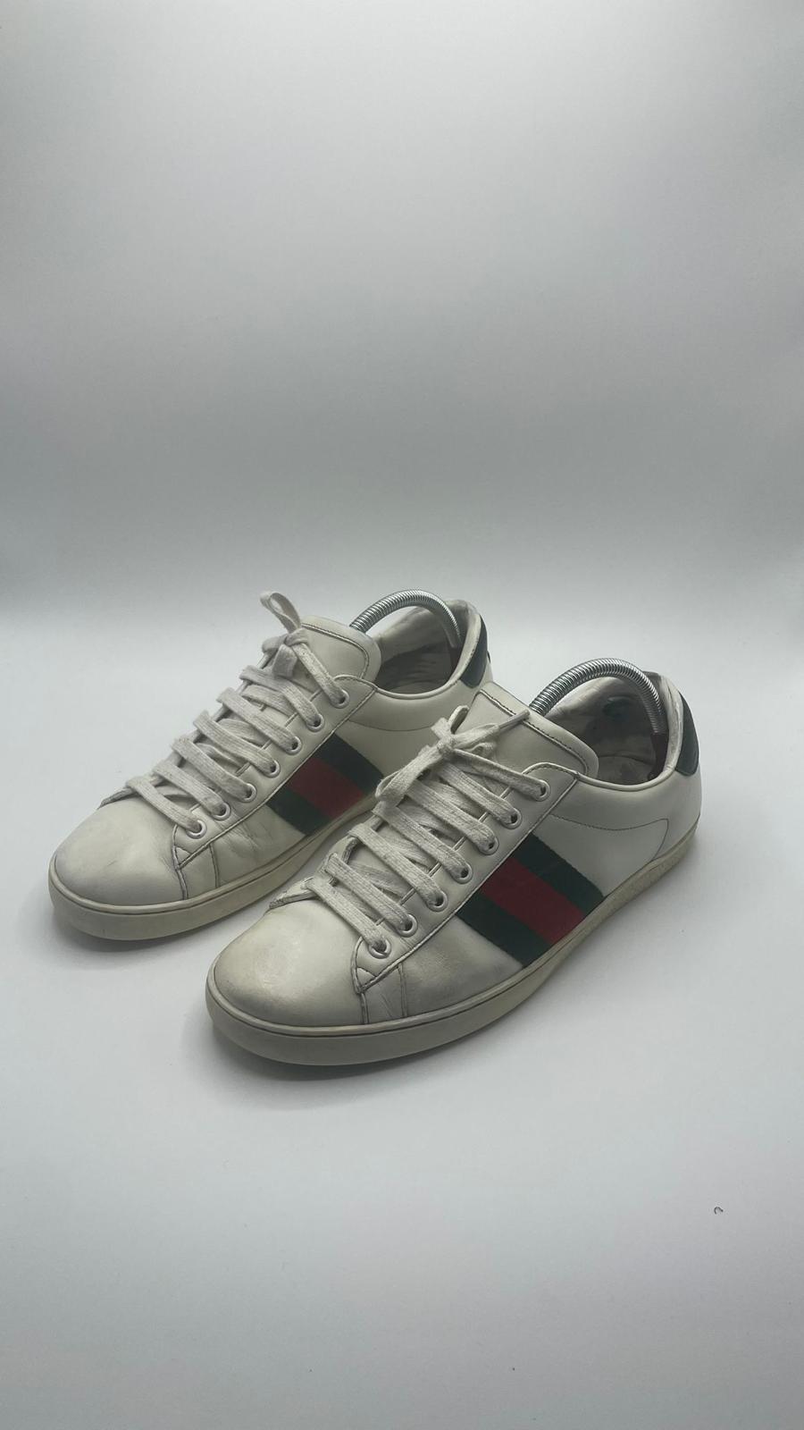 Gucci Ace