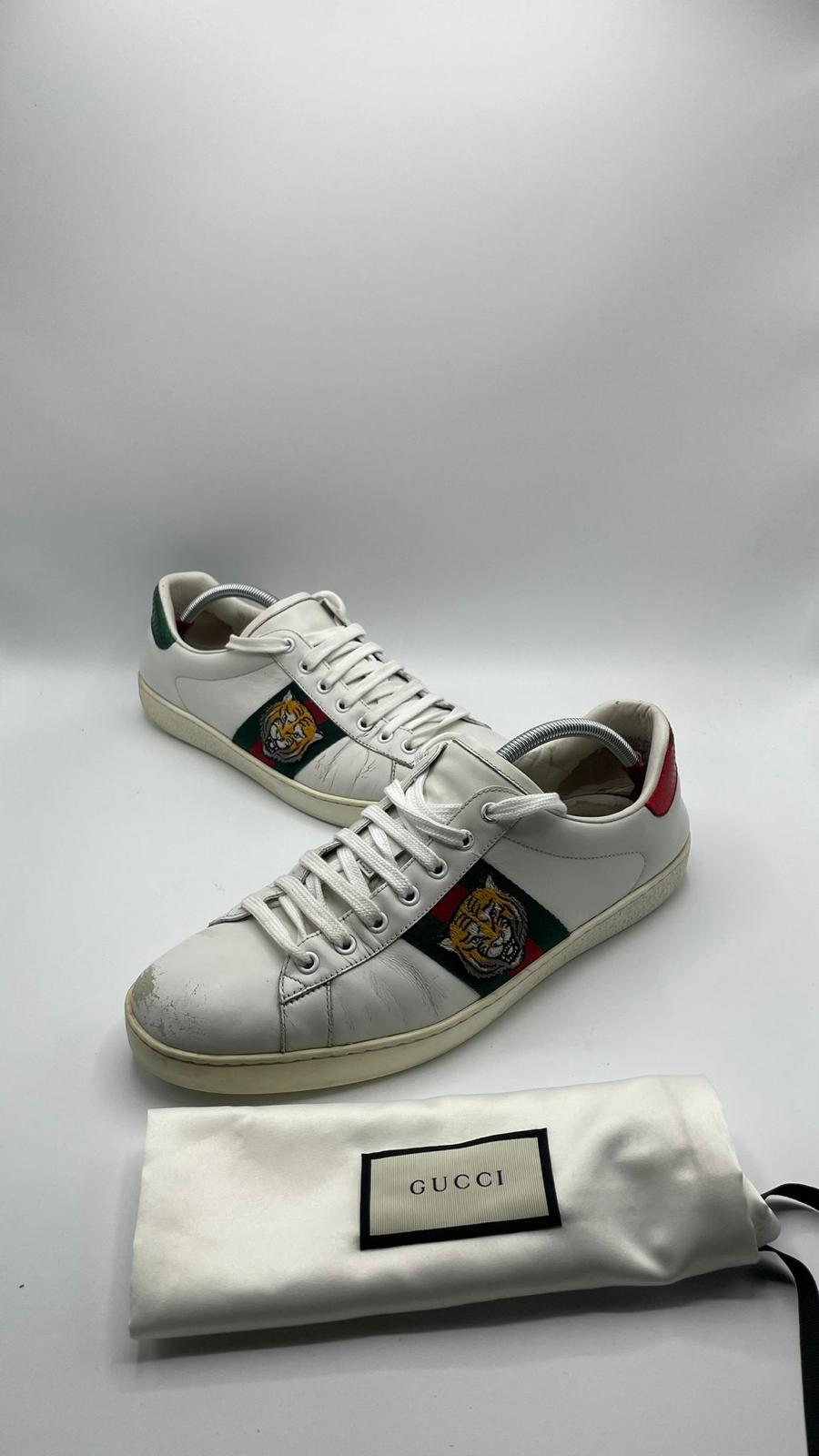 Gucci Ace Tiger