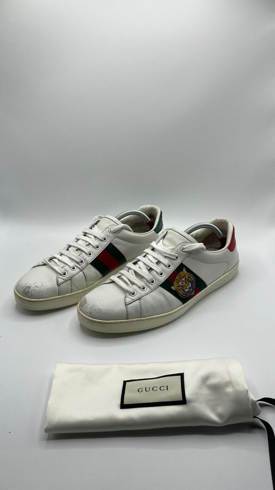 Gucci Ace Tiger