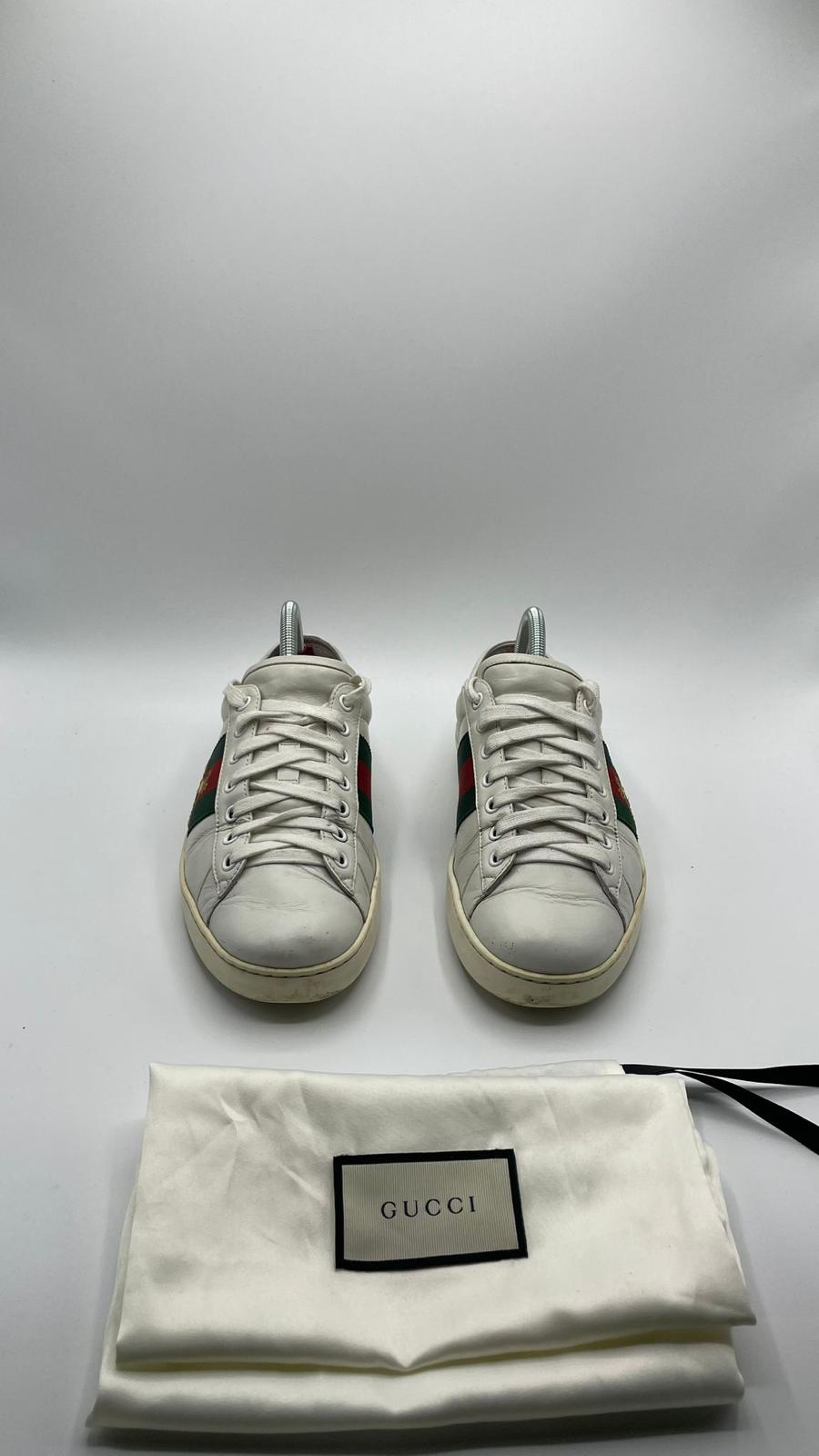 Gucci Ace Bee