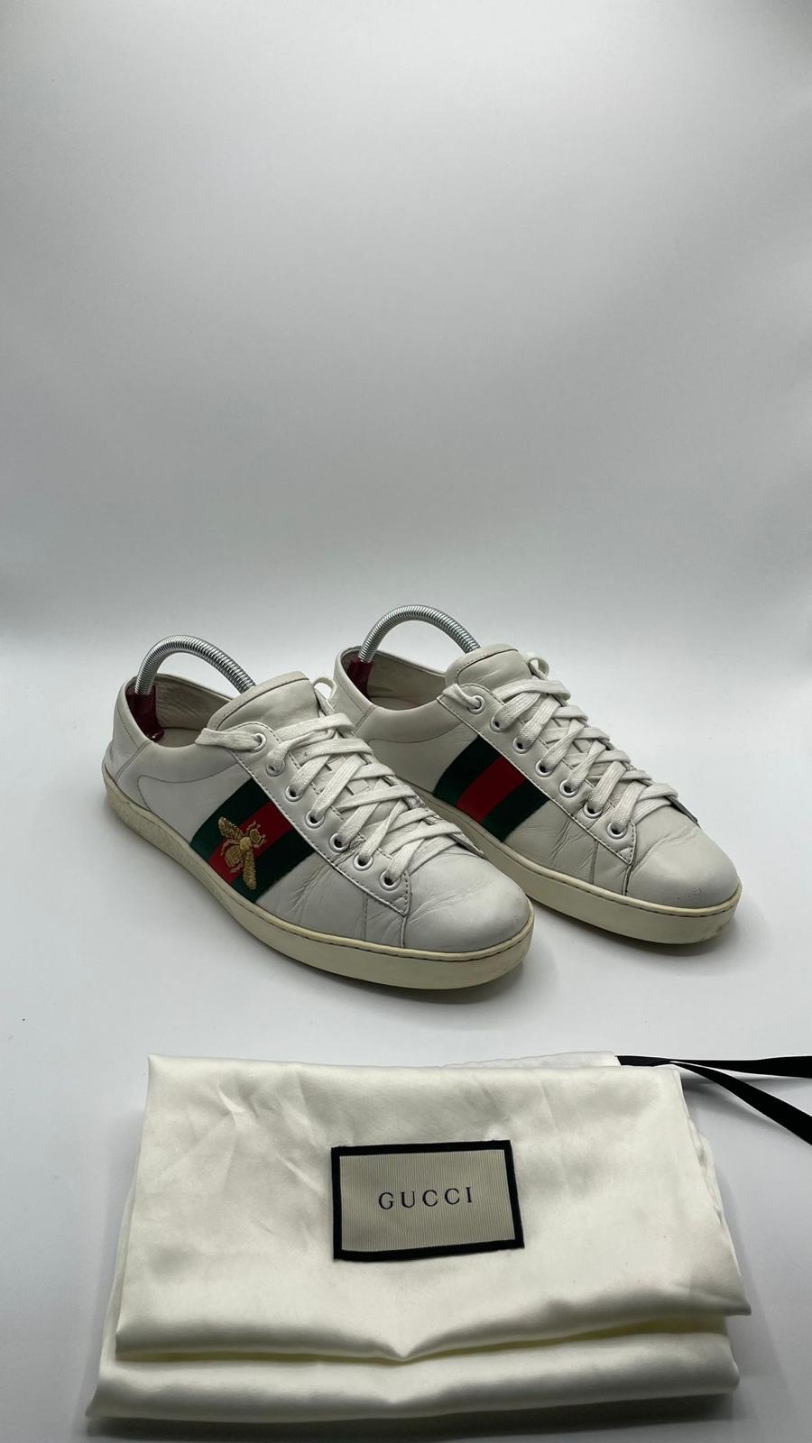 Gucci Ace Bee