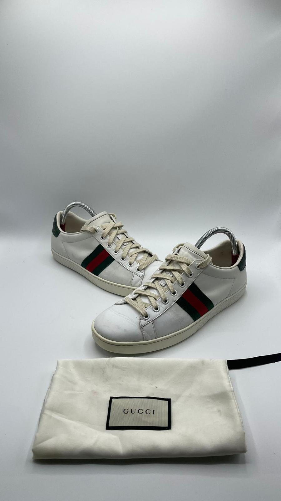 Gucci Ace