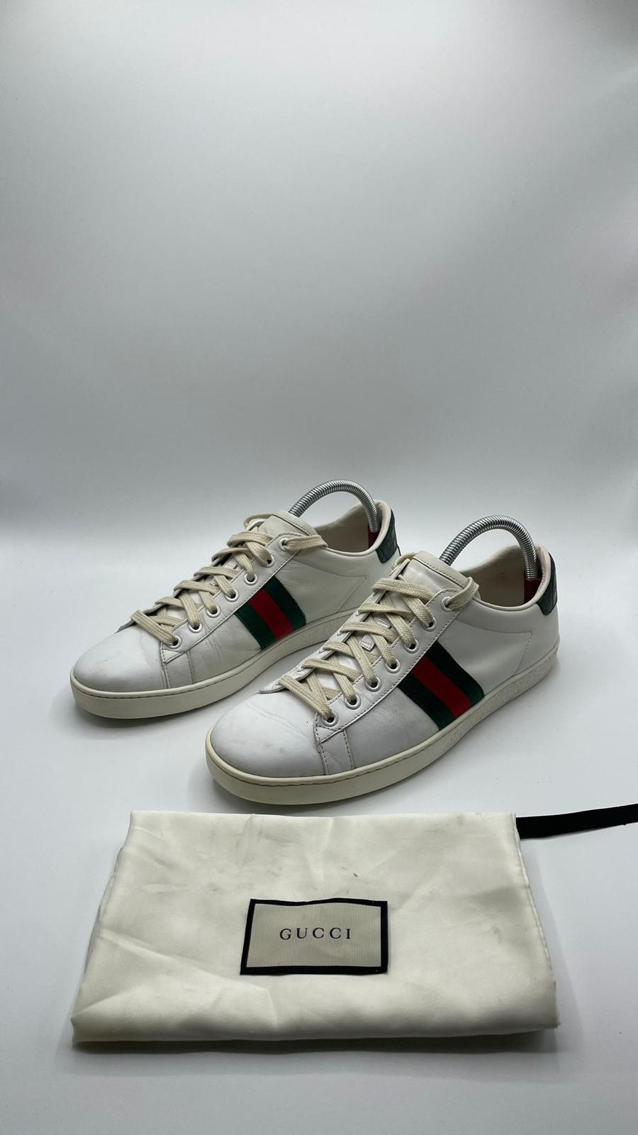 Gucci Ace