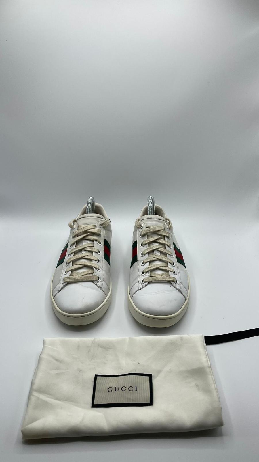 Gucci Ace