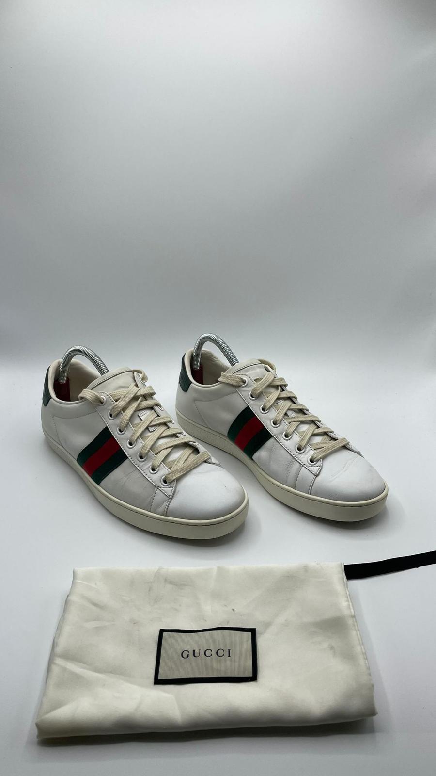 Gucci Ace