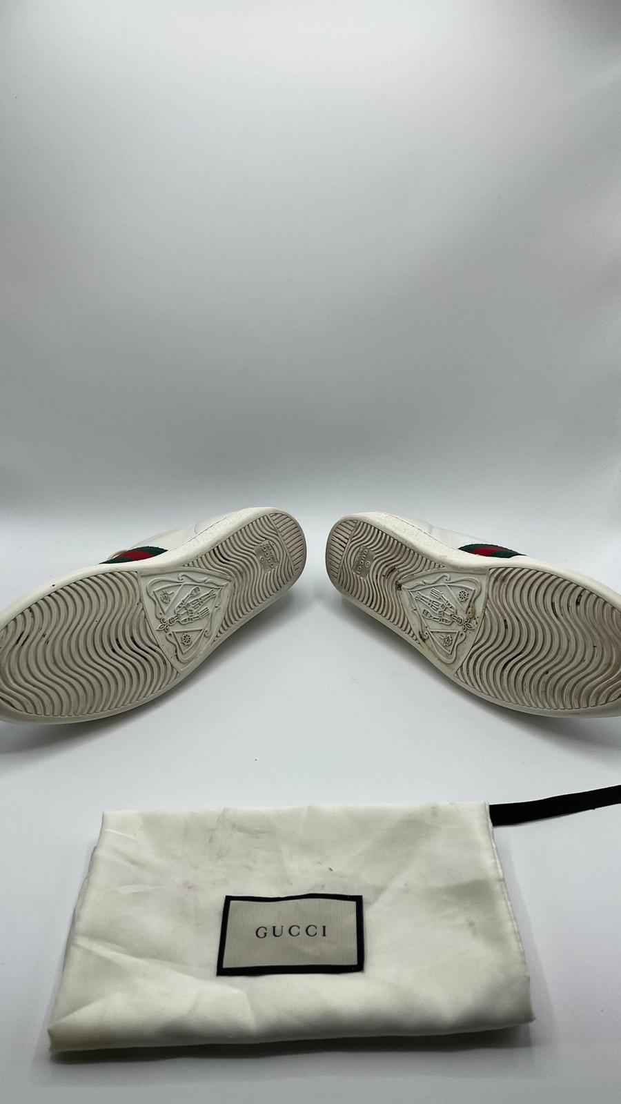 Gucci Ace