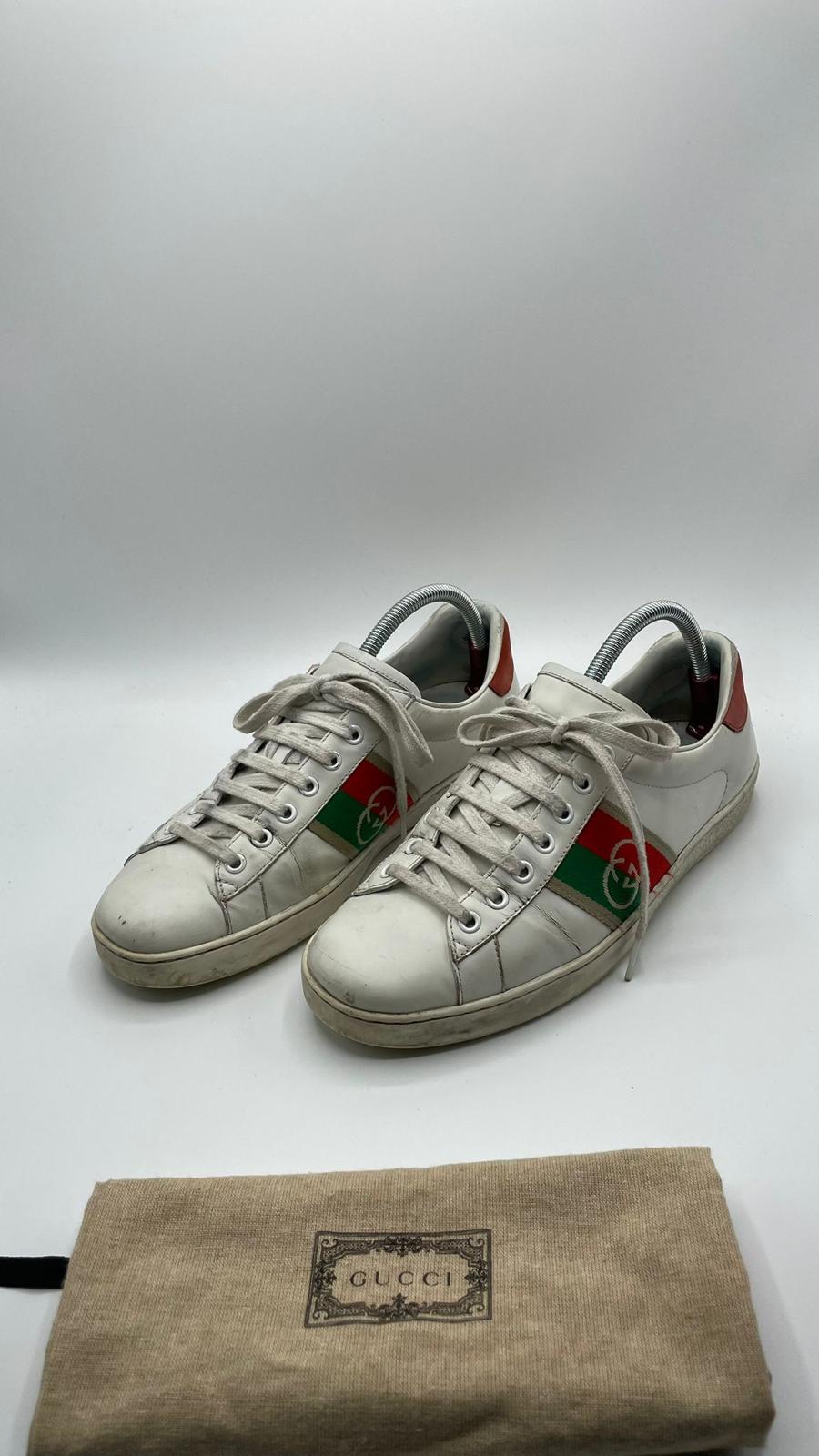 Gucci Ace