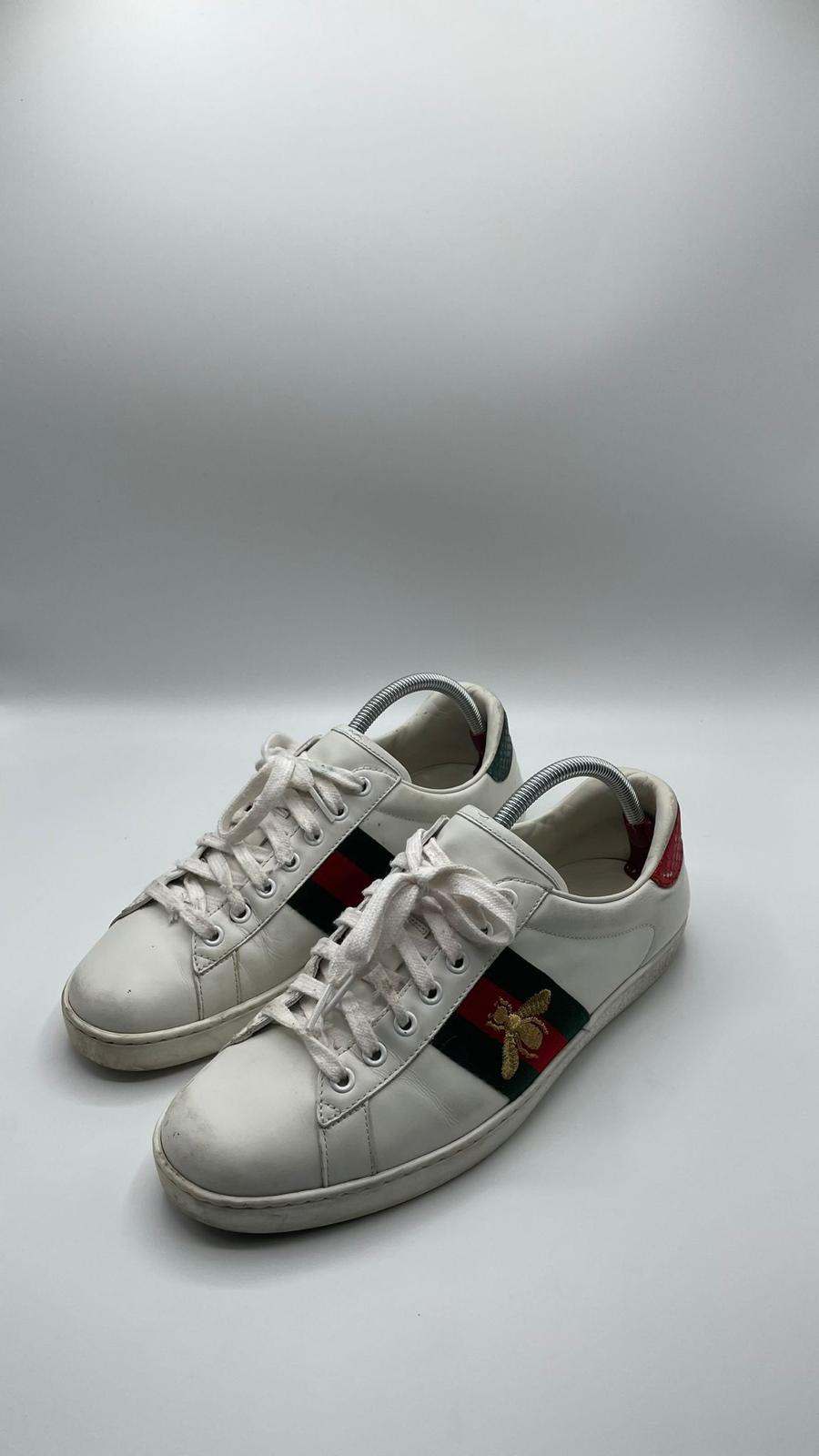 Gucci Ace Bee