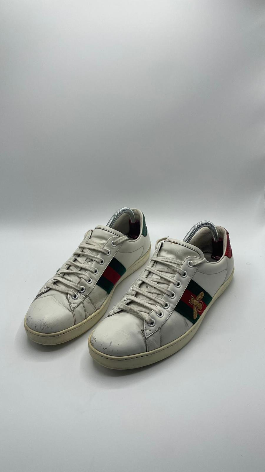 Gucci Ace Bee