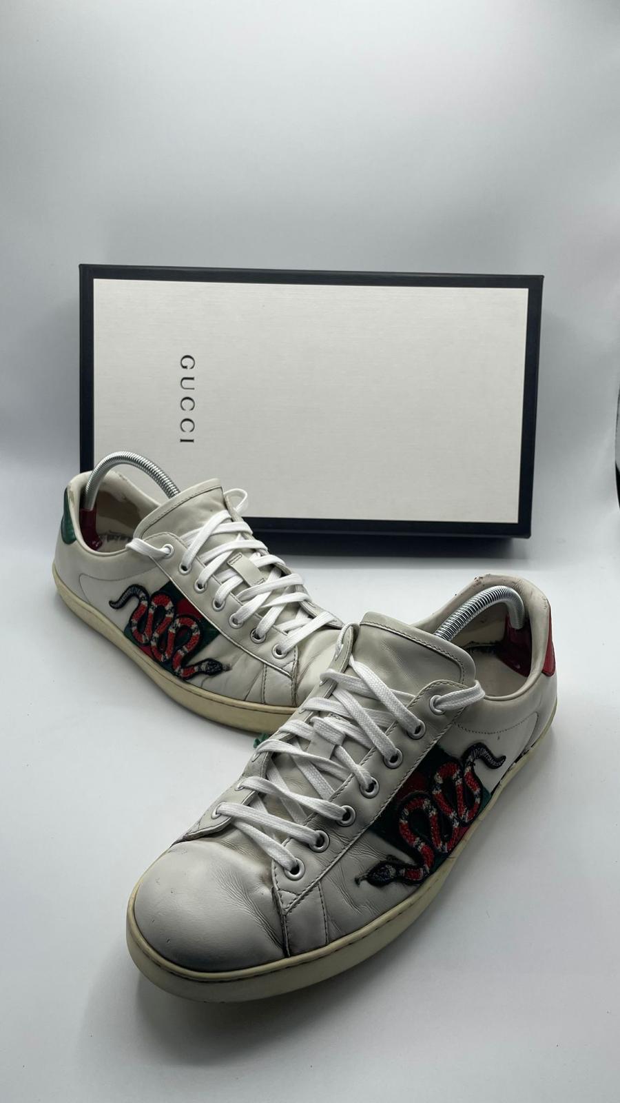 Gucci Ace Snake