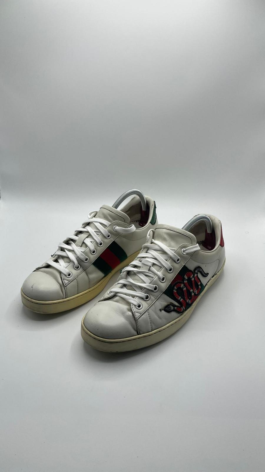 Gucci Ace Snake