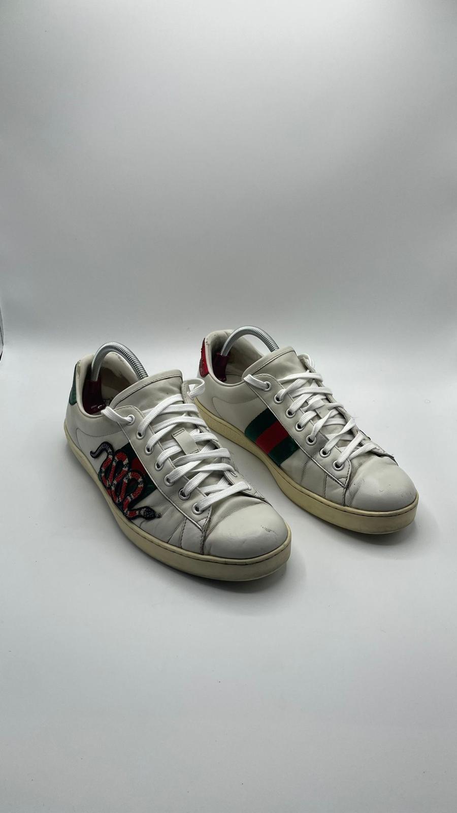 Gucci Ace Snake