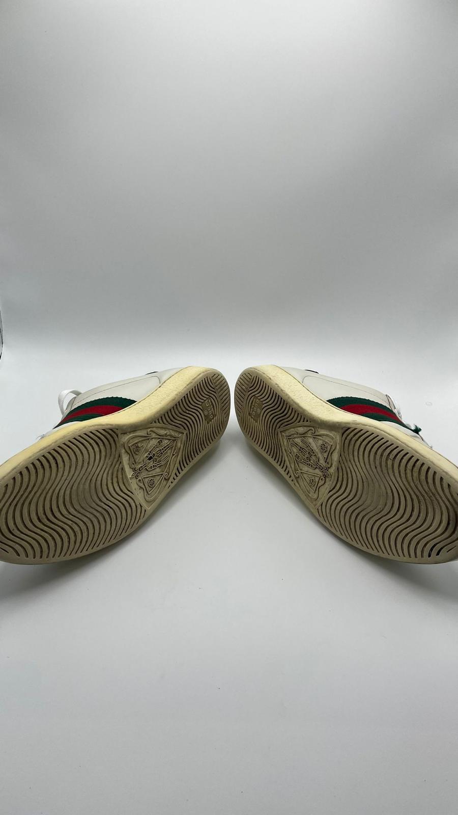 Gucci Ace Snake