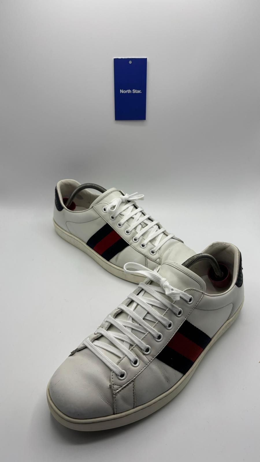 Gucci Ace - 43 EU