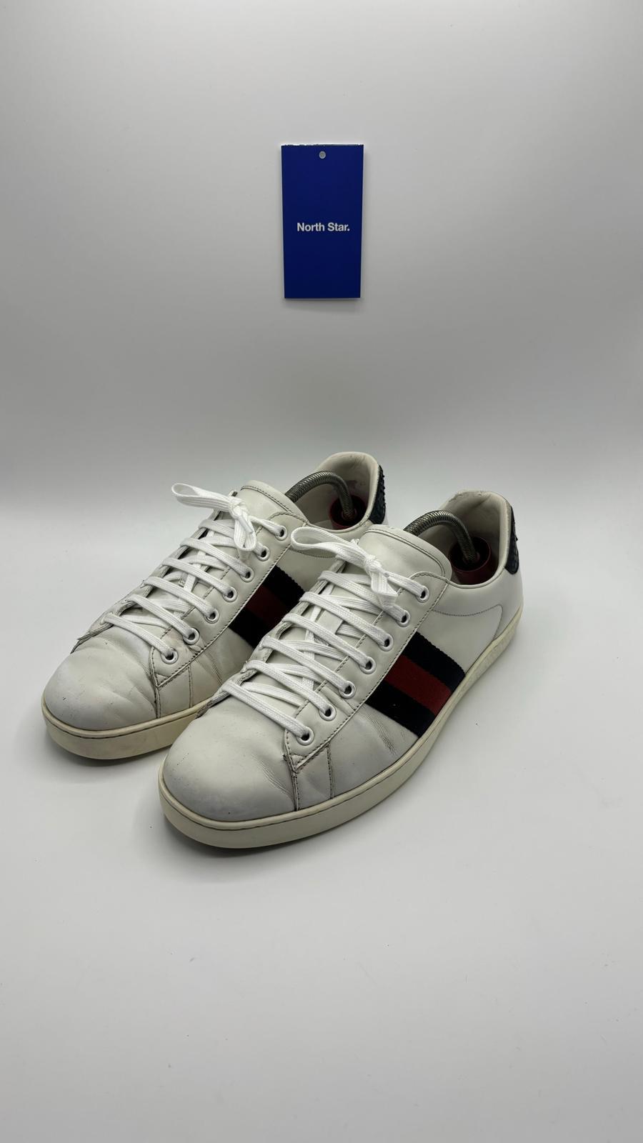 Gucci Ace - 43 EU