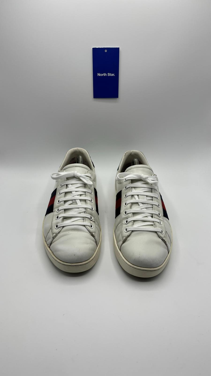 Gucci Ace - 43 EU