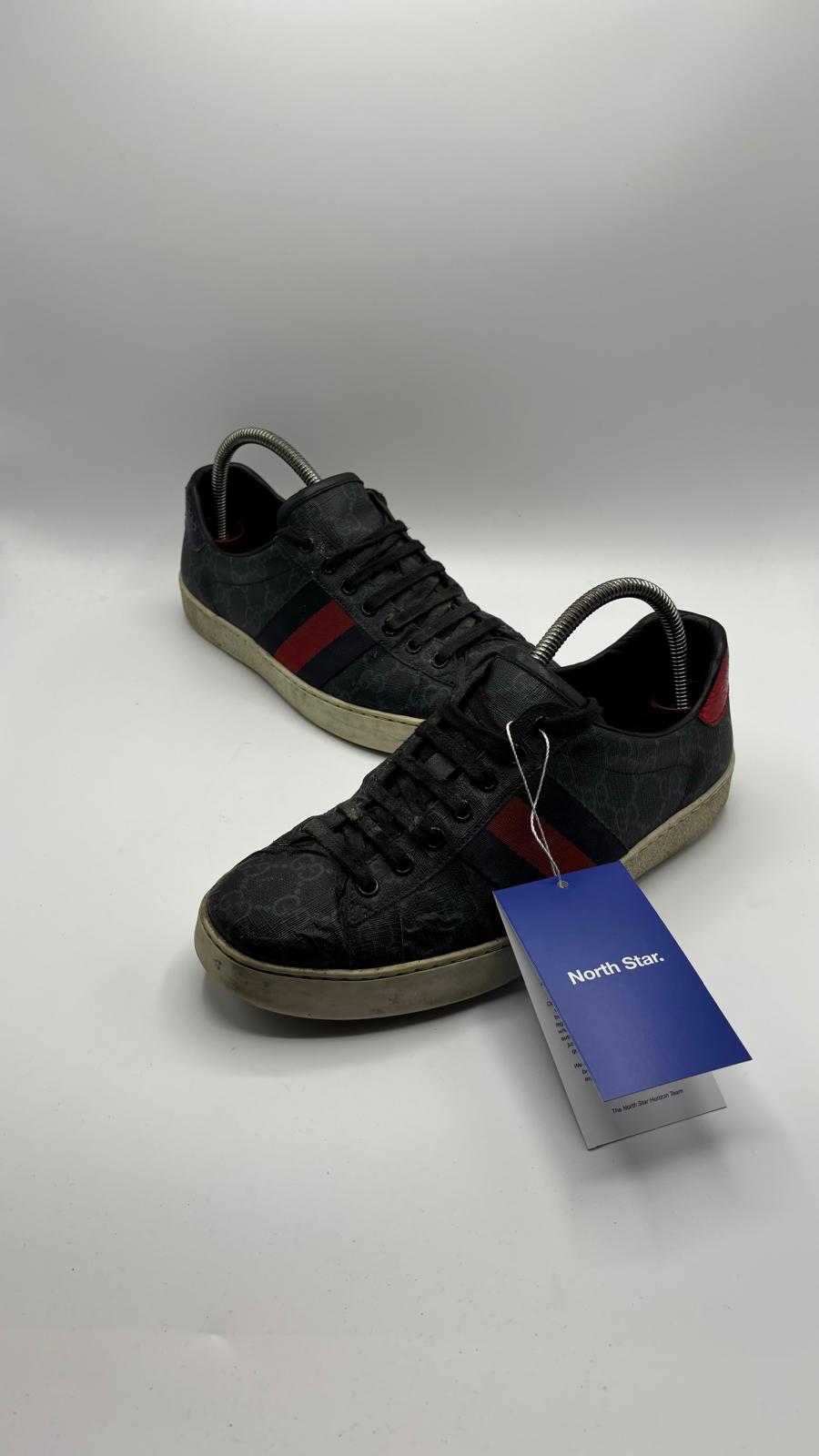 Gucci Ace - 41.5 EU