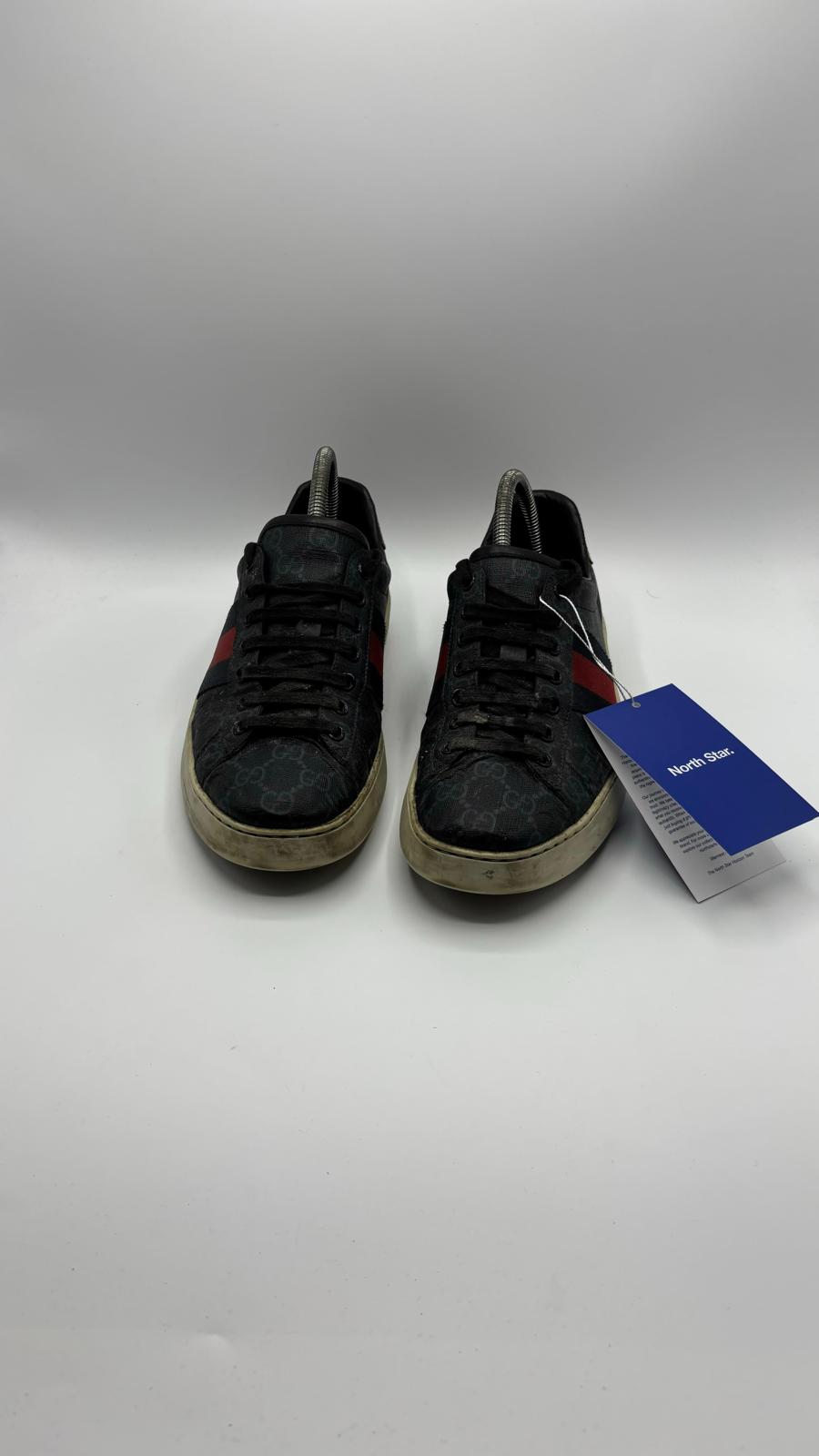 Gucci Ace - 41.5 EU