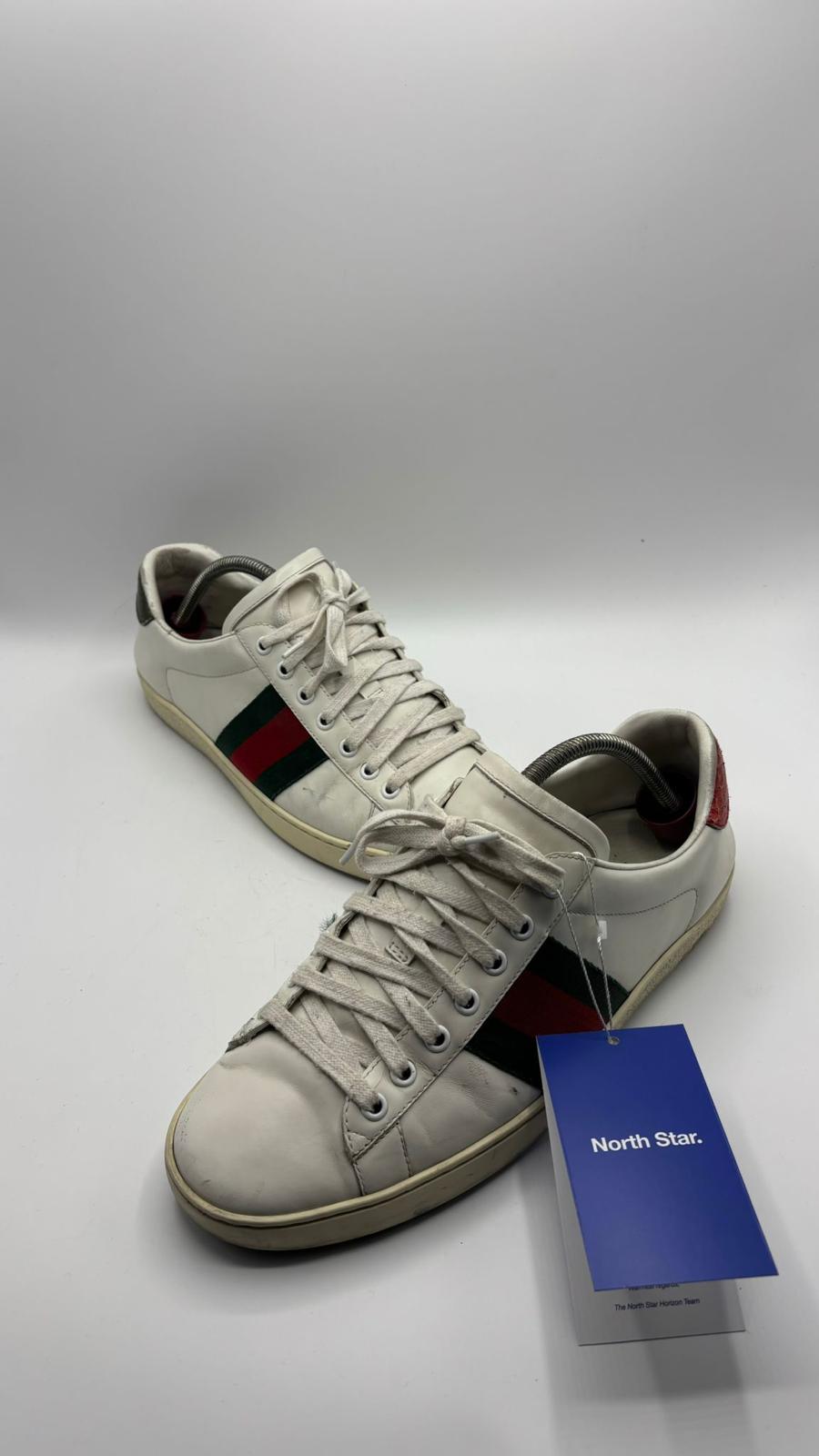 Gucci Ace - 42 EU