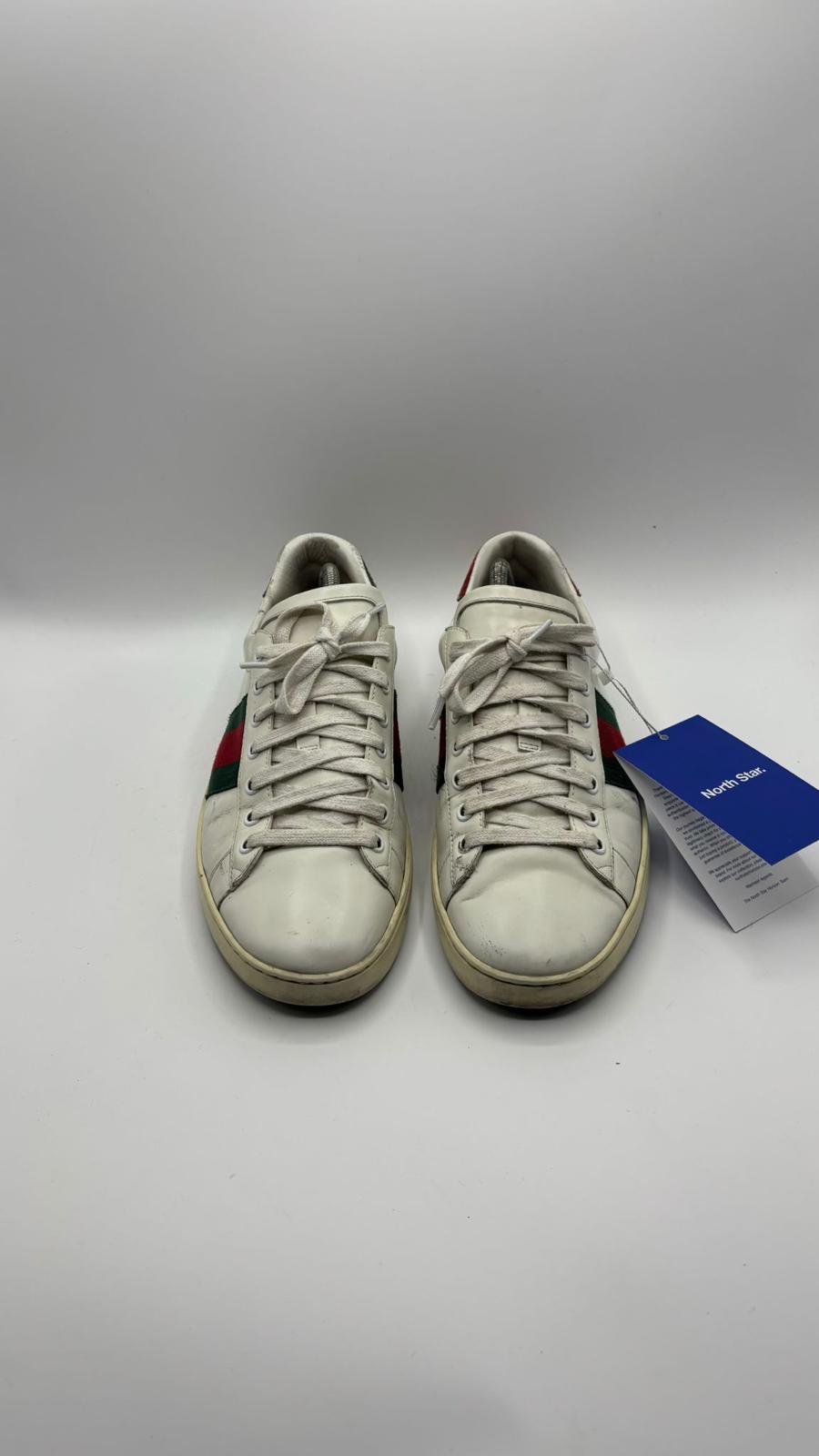 Gucci Ace - 42 EU