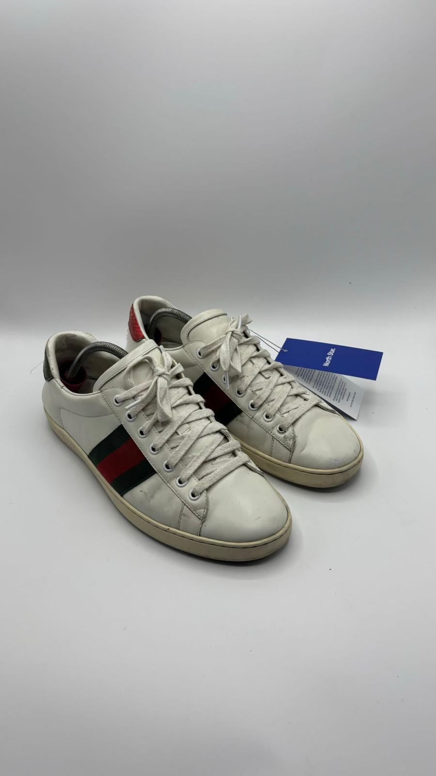 Gucci Ace - 42 EU