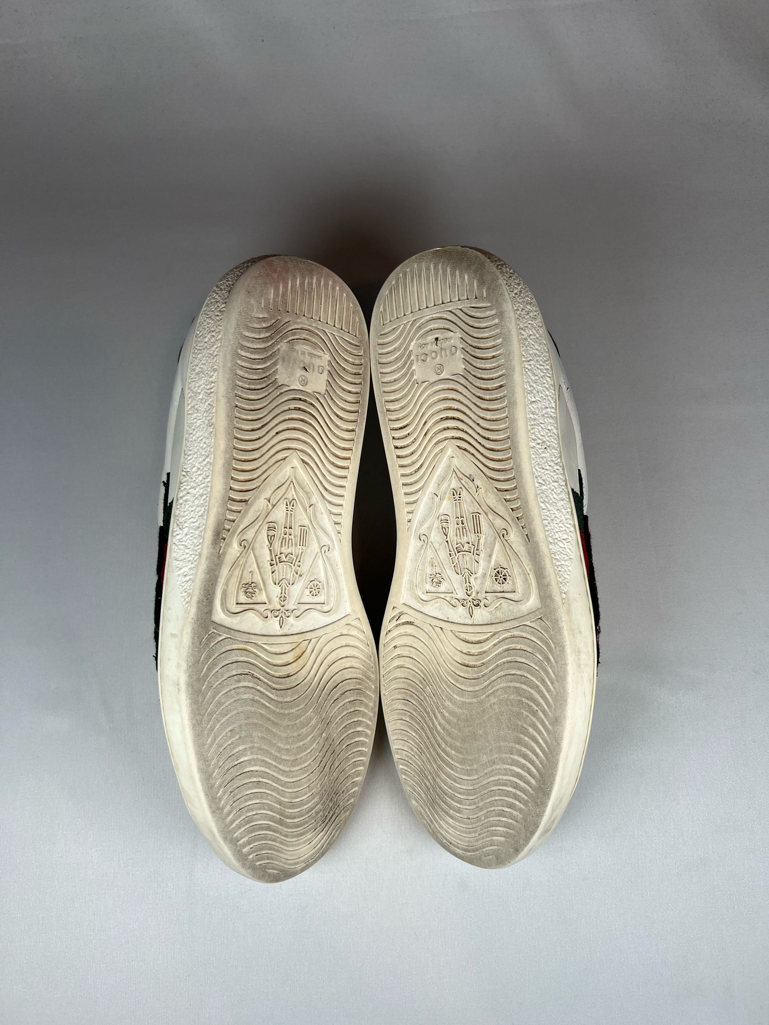 Gucci Ace Snake