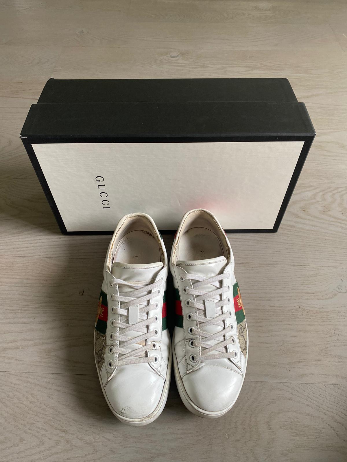 Gucci Ace