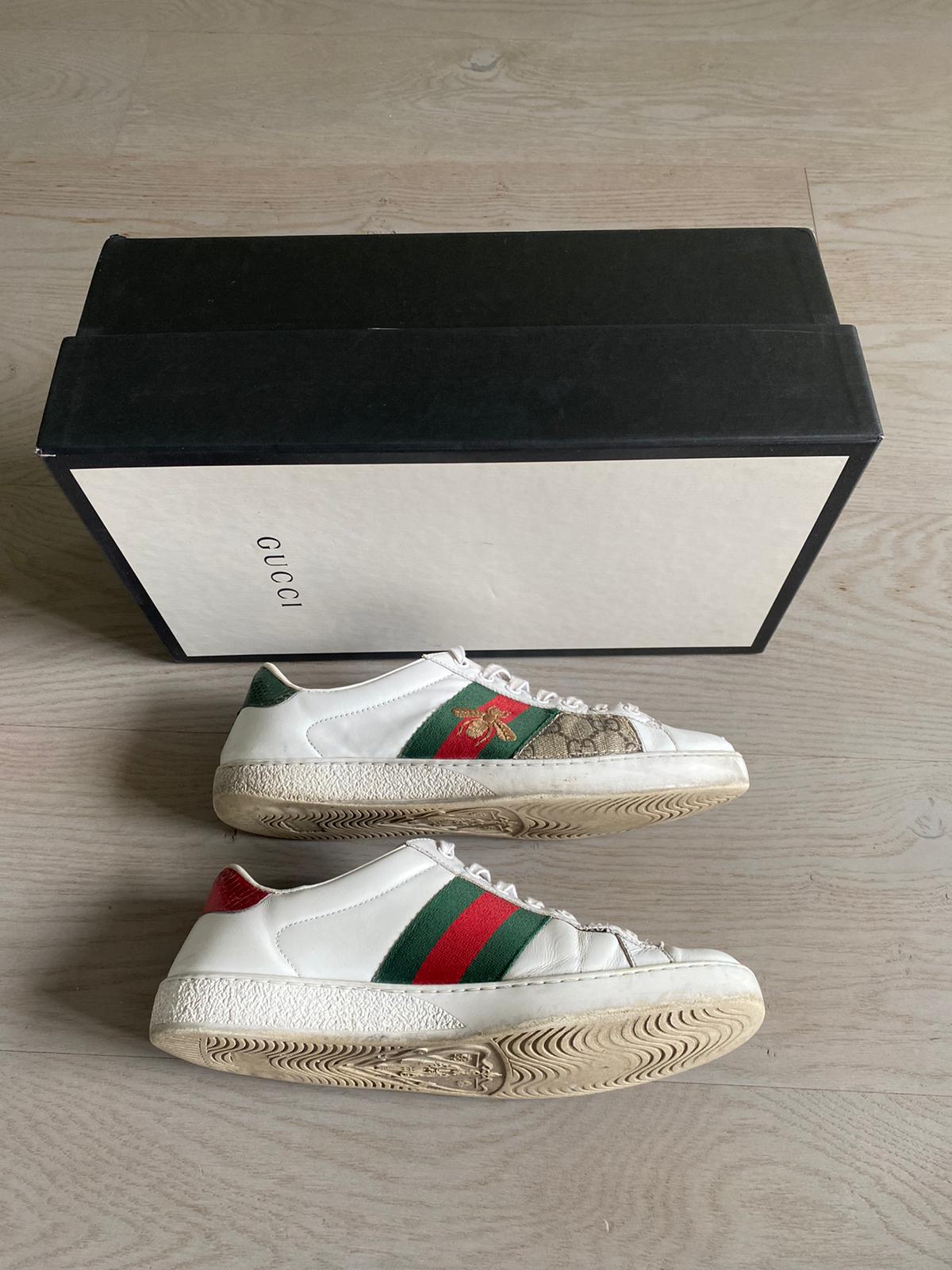 Gucci Ace