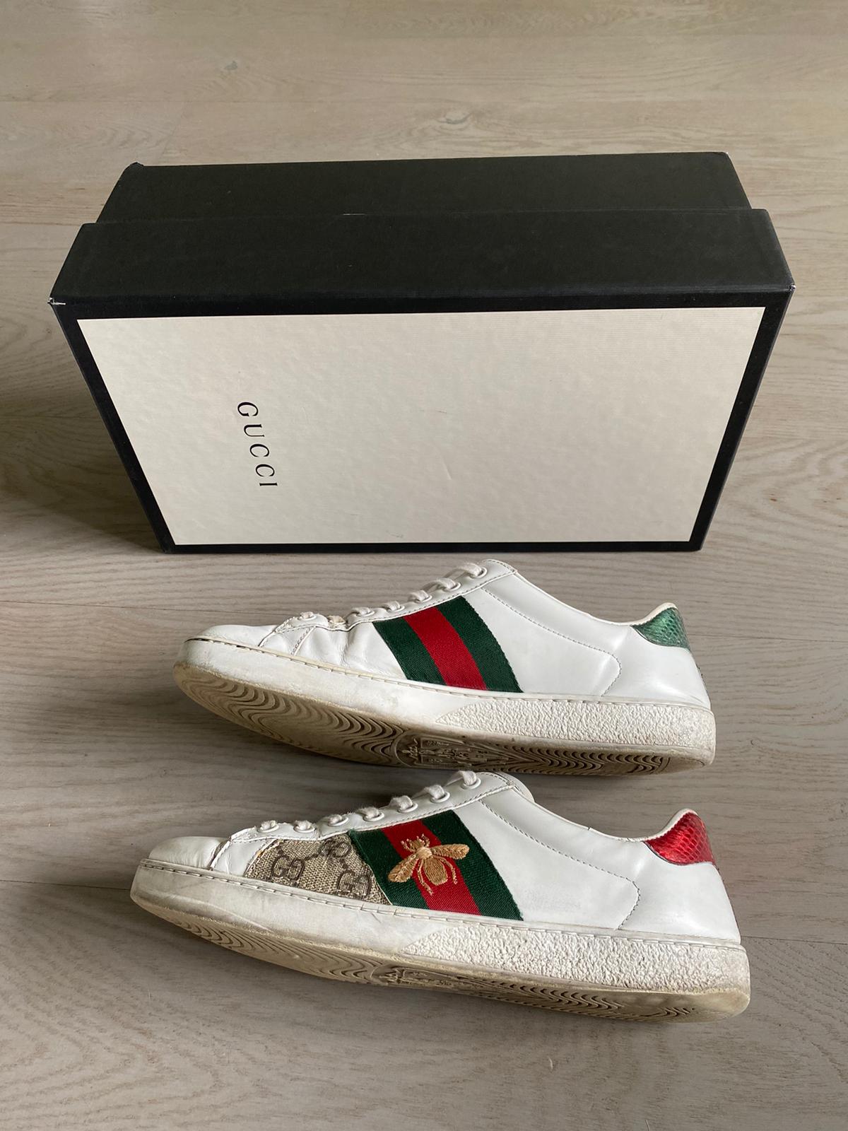 Gucci Ace