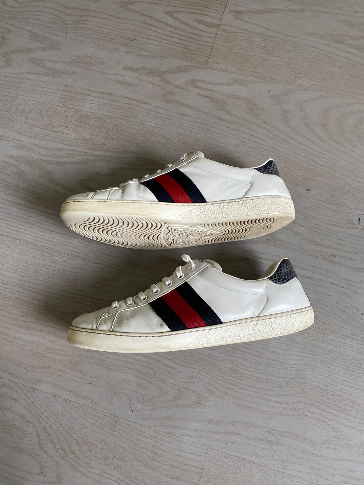 Gucci Ace