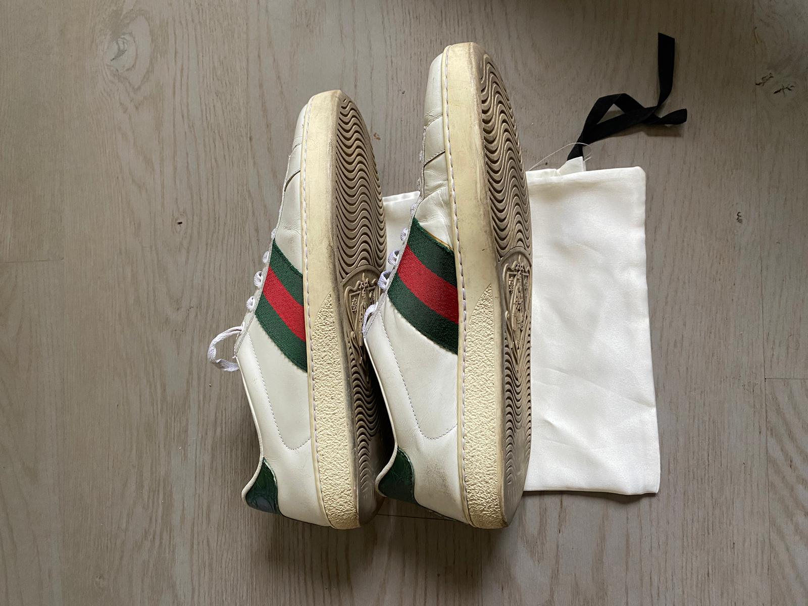 Gucci Ace