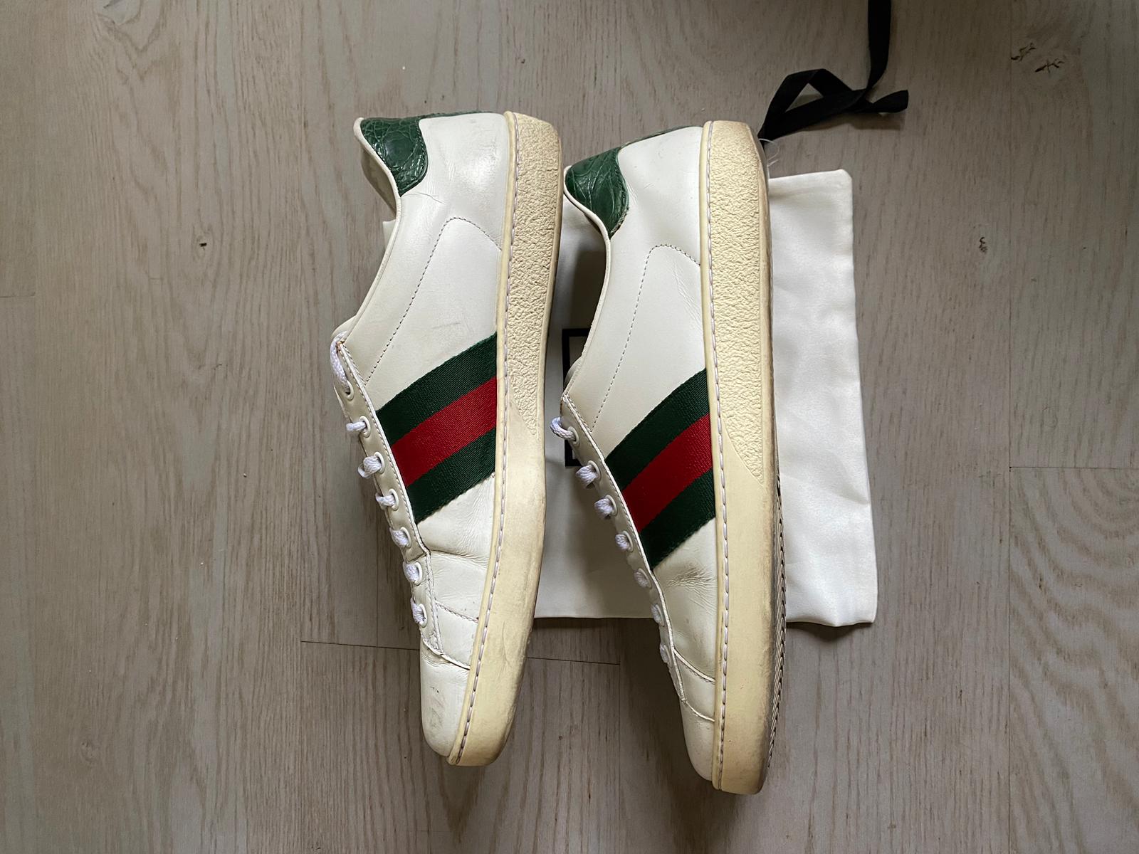 Gucci Ace