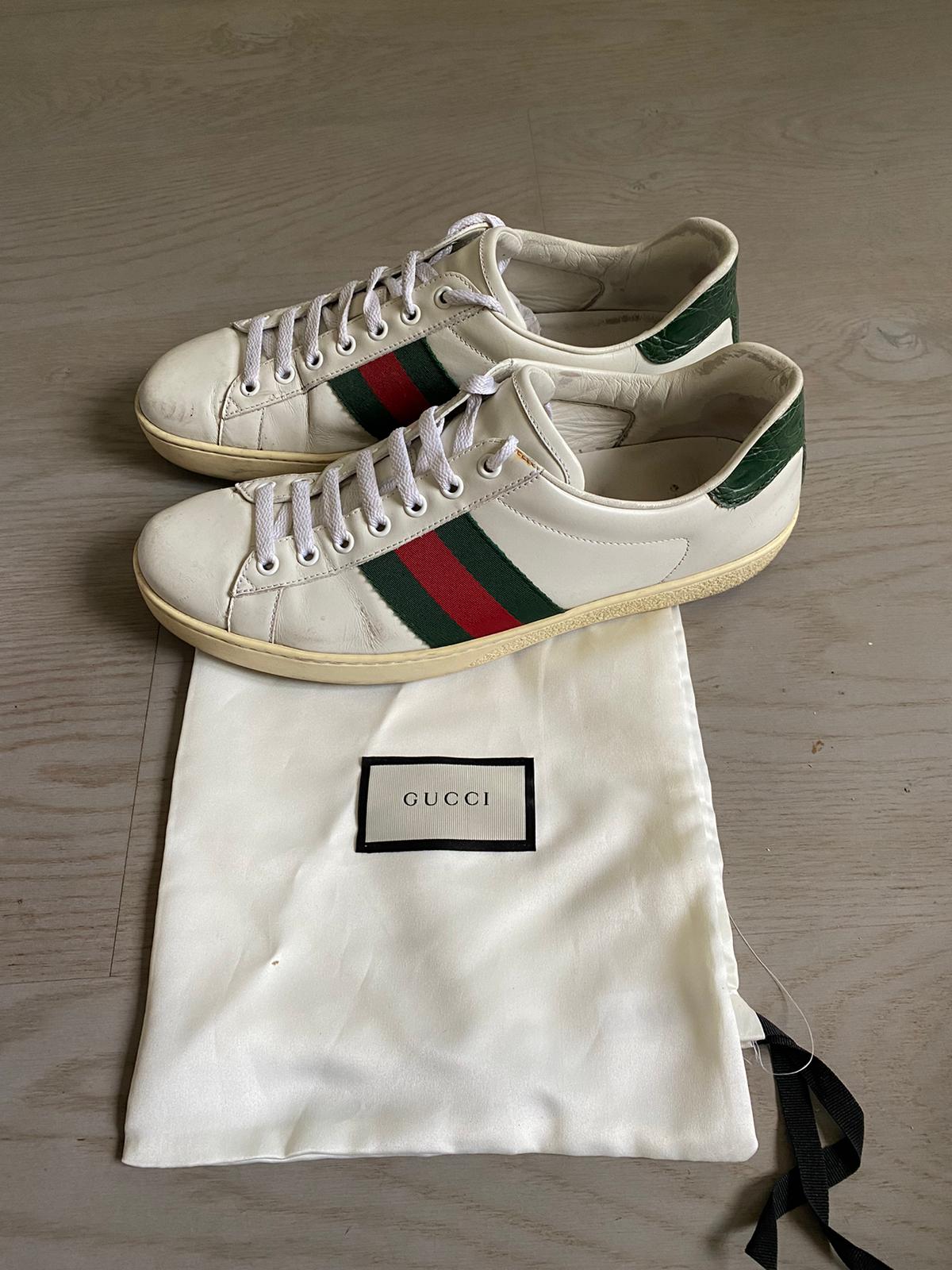 Gucci Ace