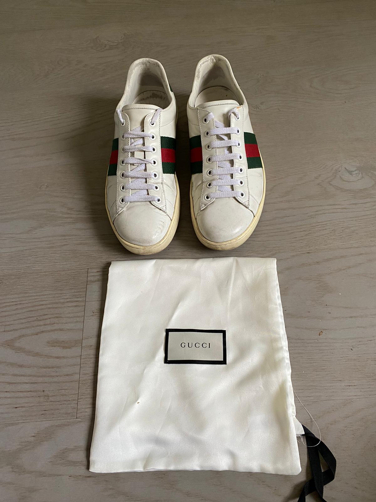 Gucci Ace