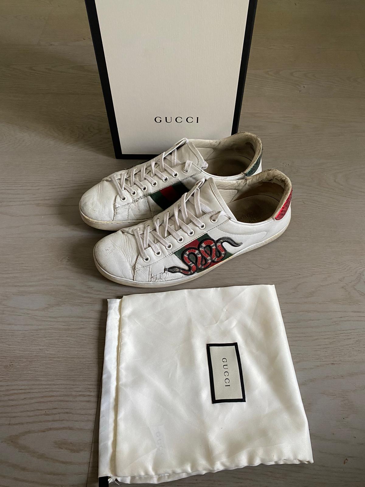 Gucci Ace Snake