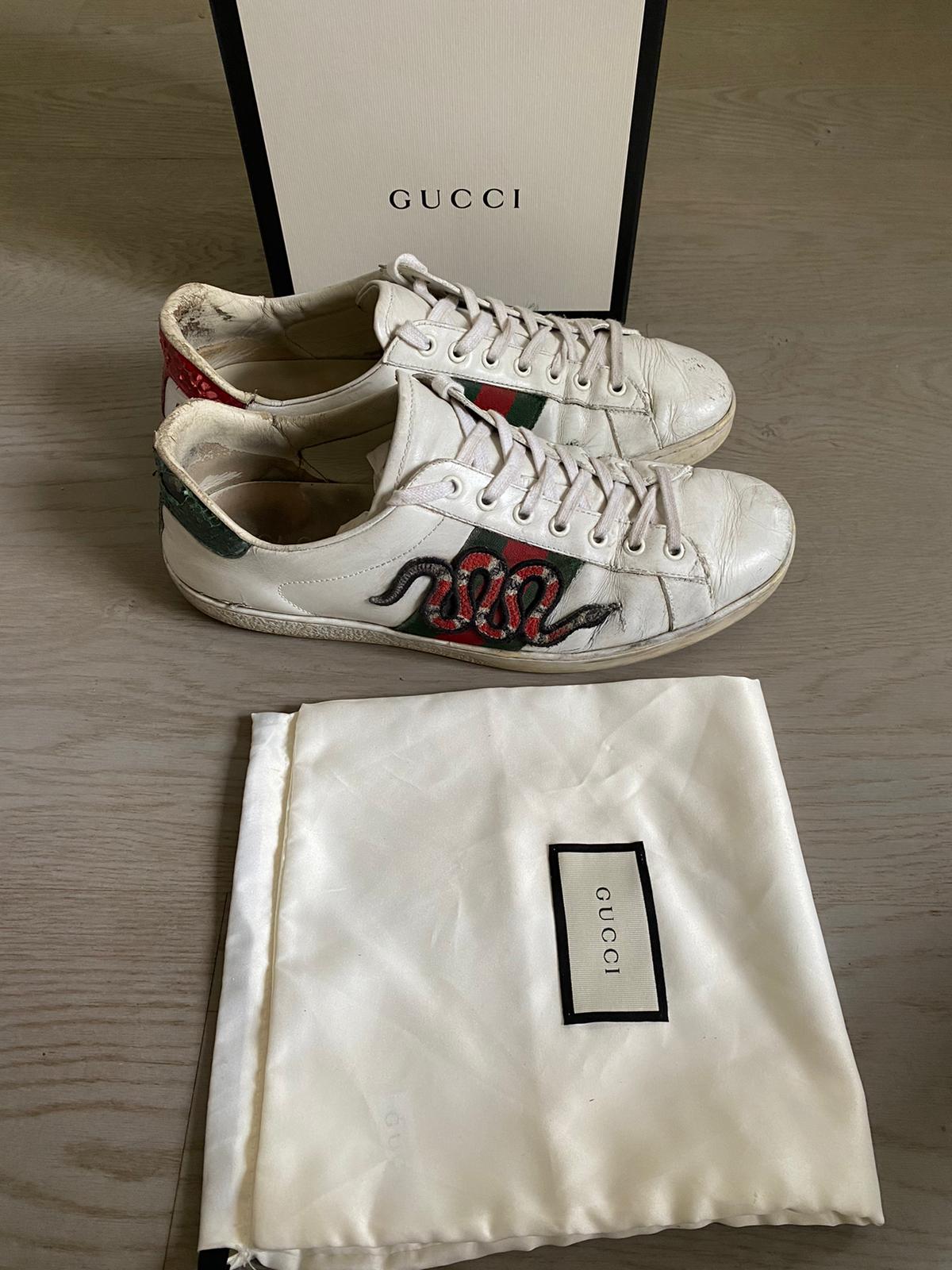 Gucci Ace Snake