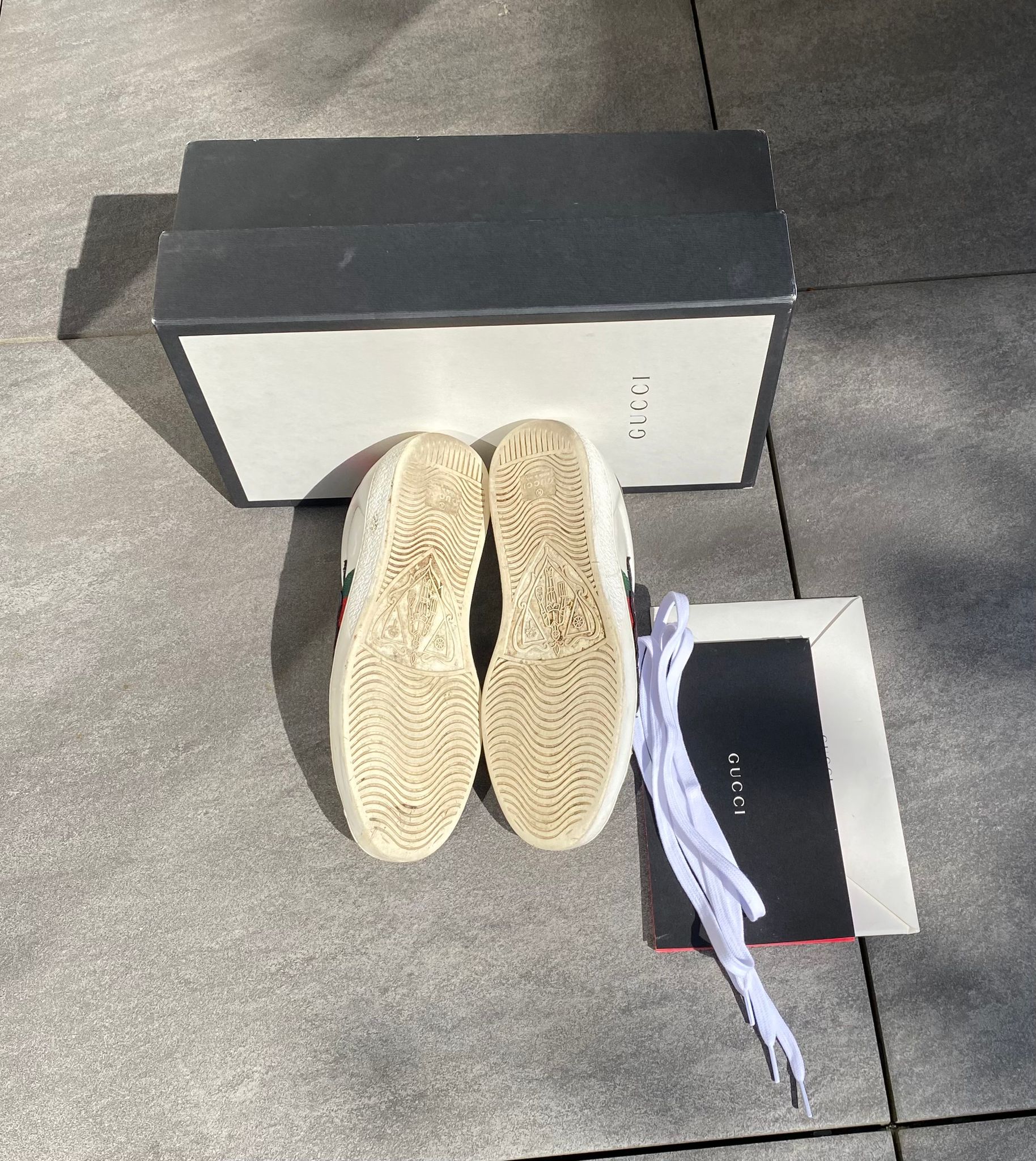 Gucci Ace Snake