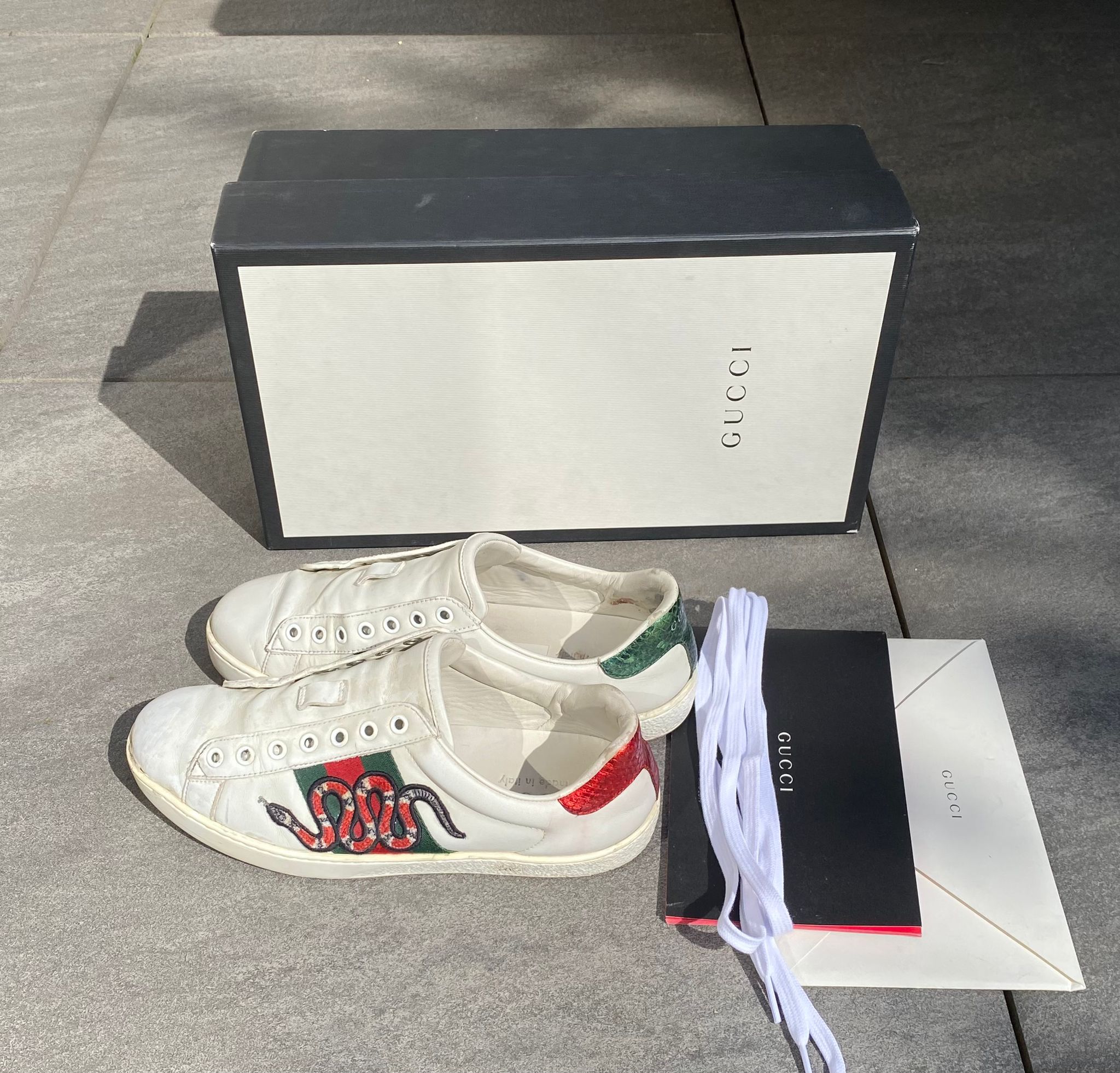 Gucci Ace Snake